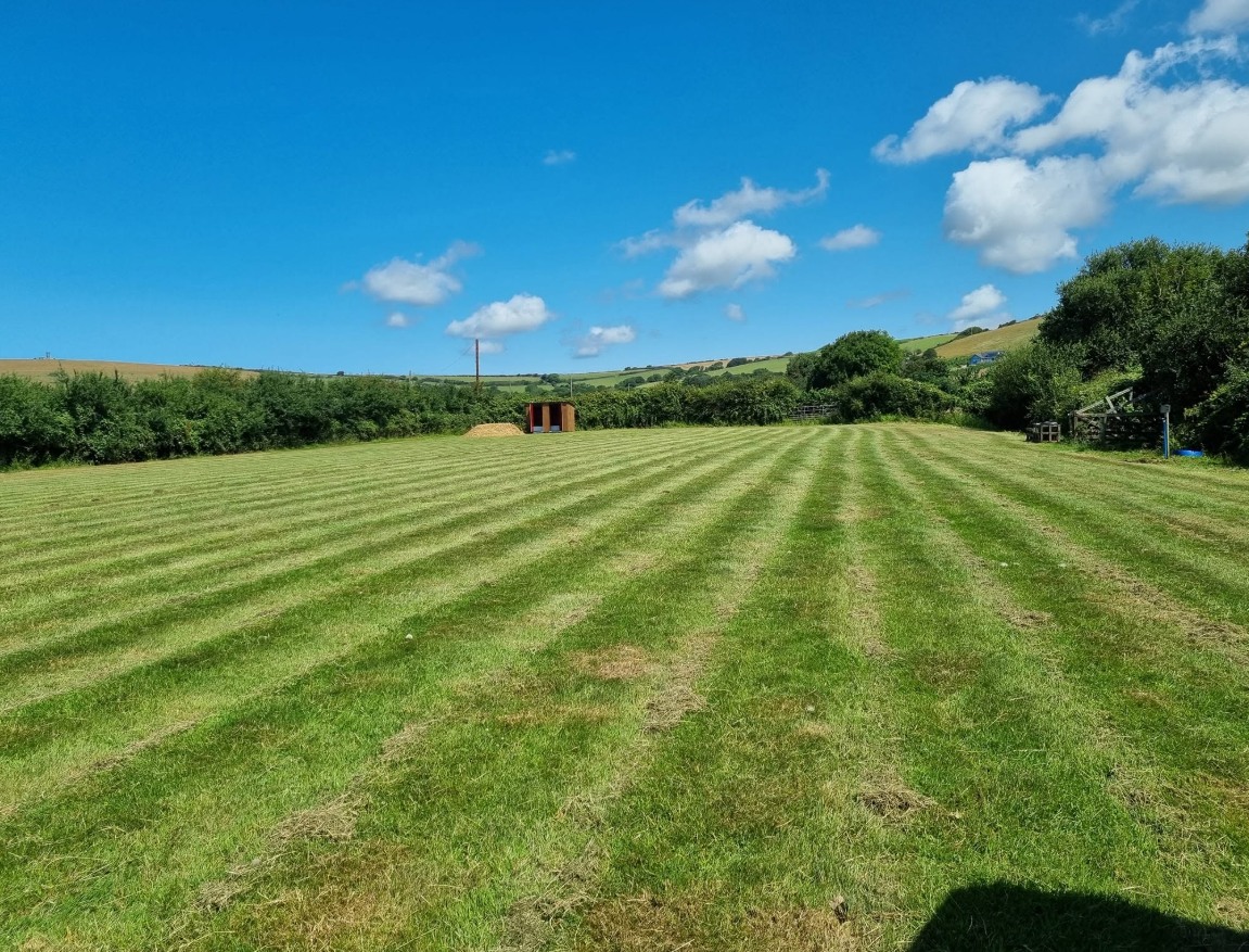 Meadowsweet Farm