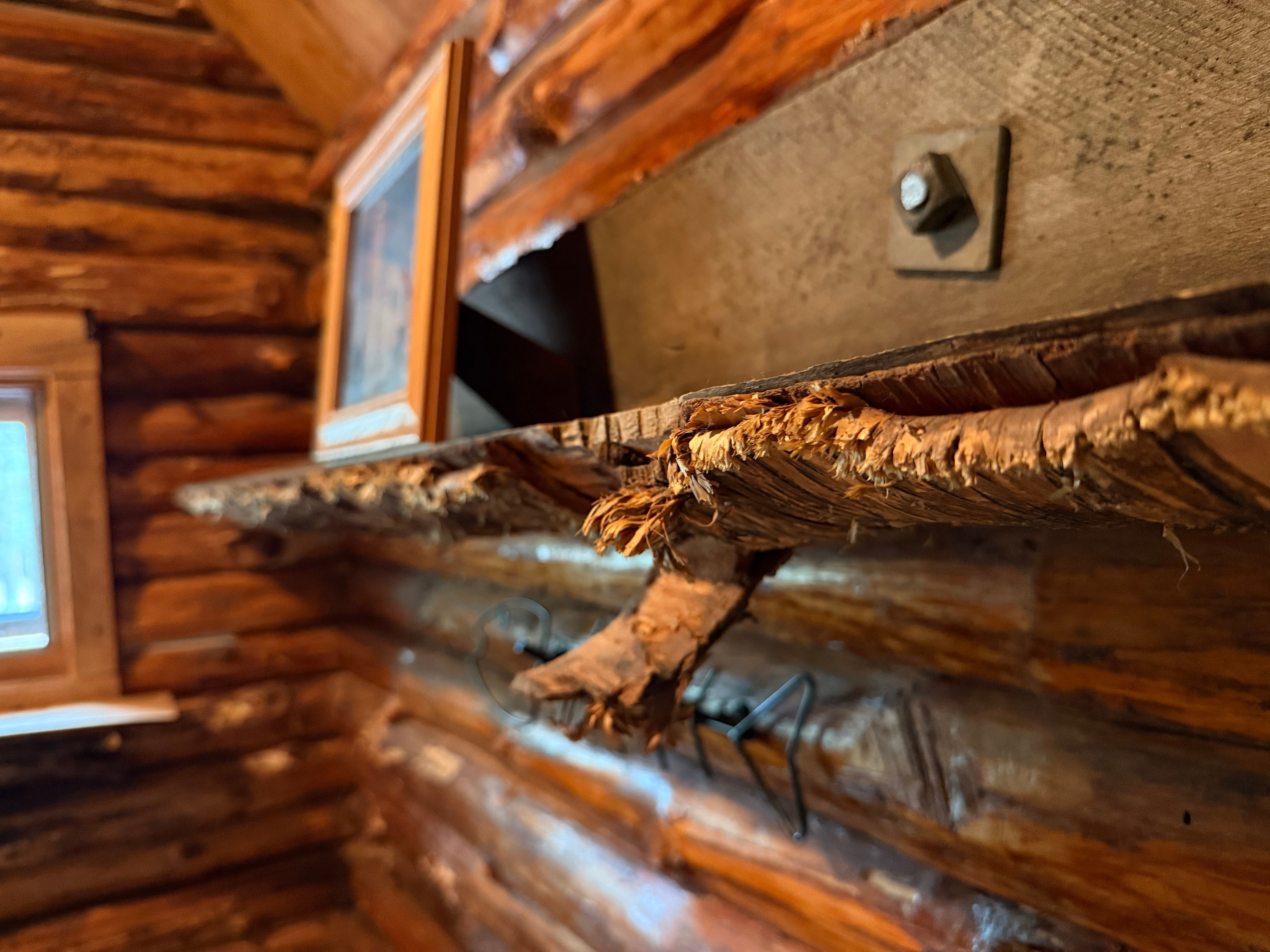 Viking Cabin