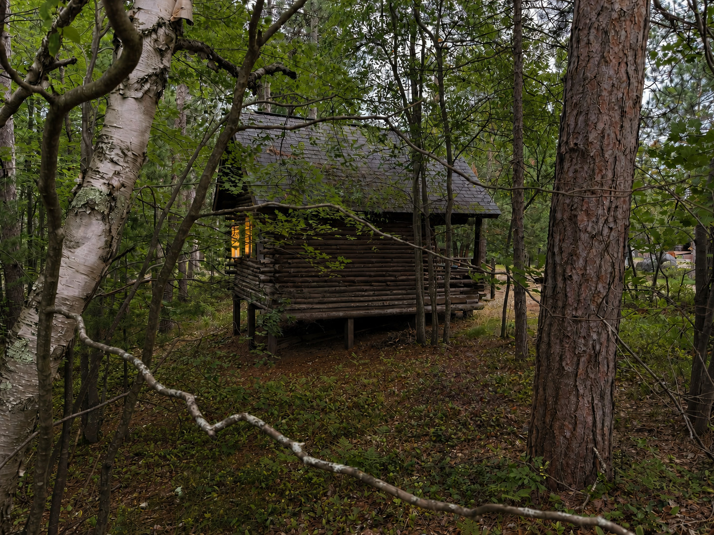 Viking Cabin