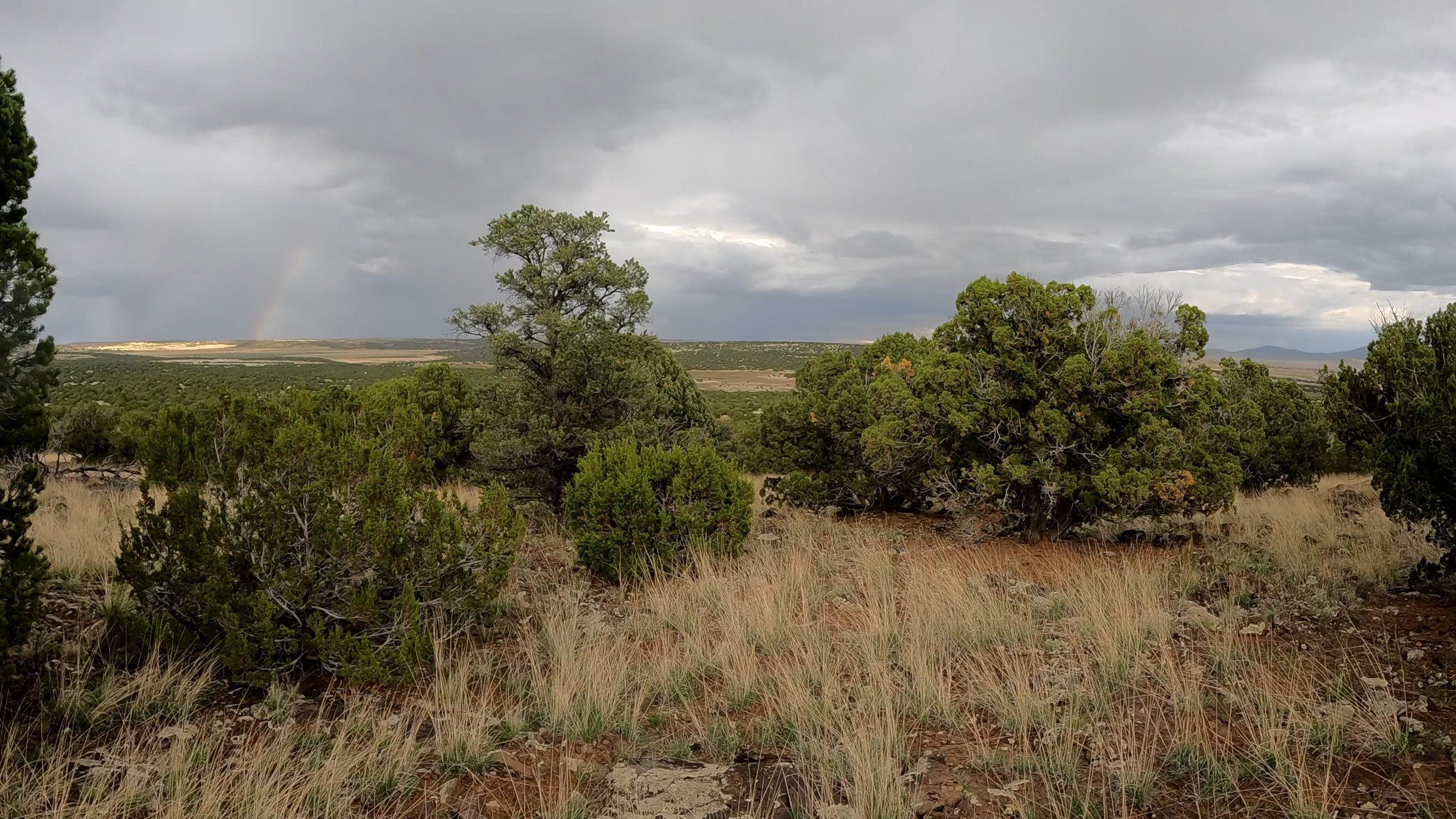 Ridge Valley Ranch