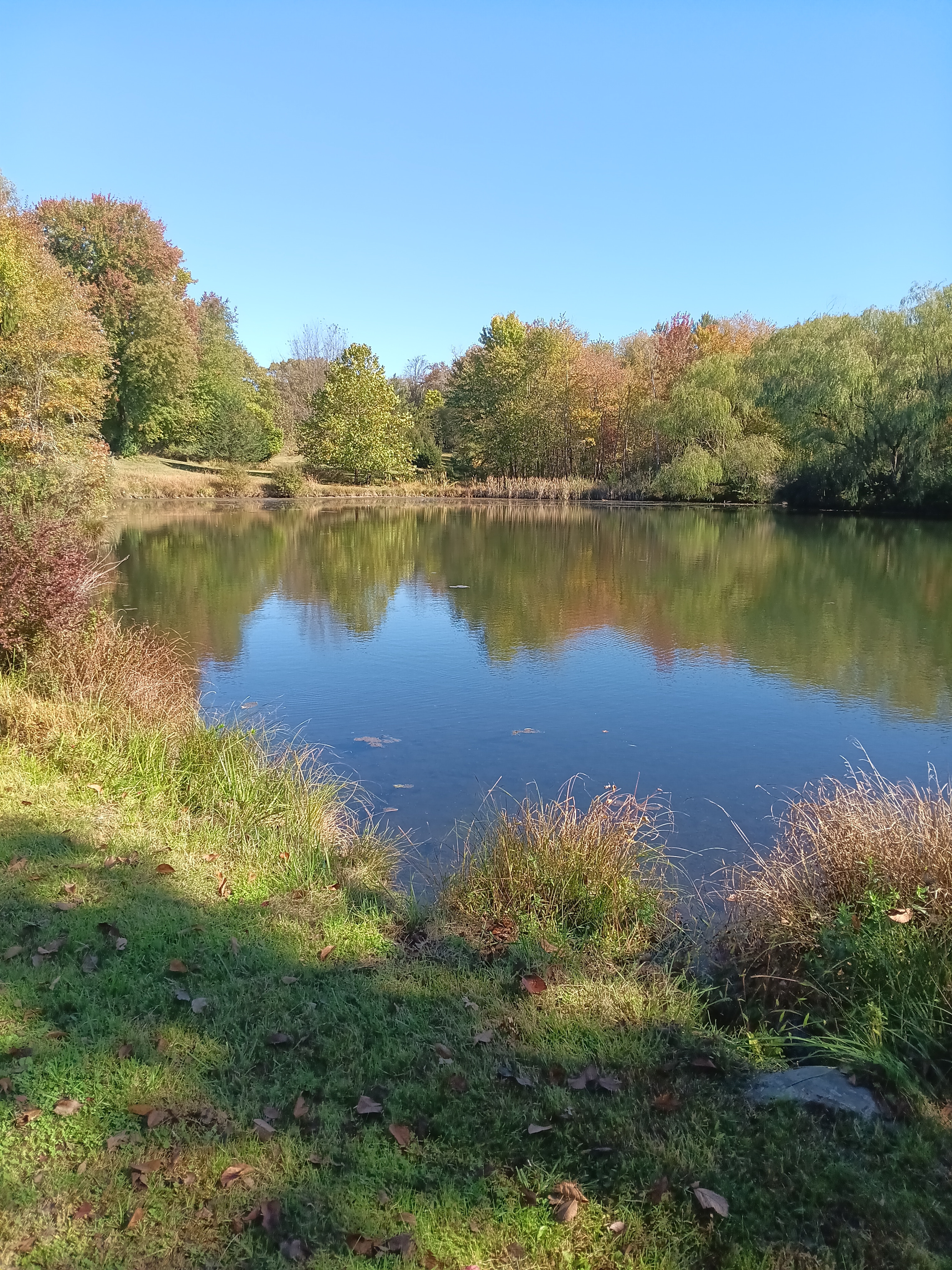 Hudson Haven