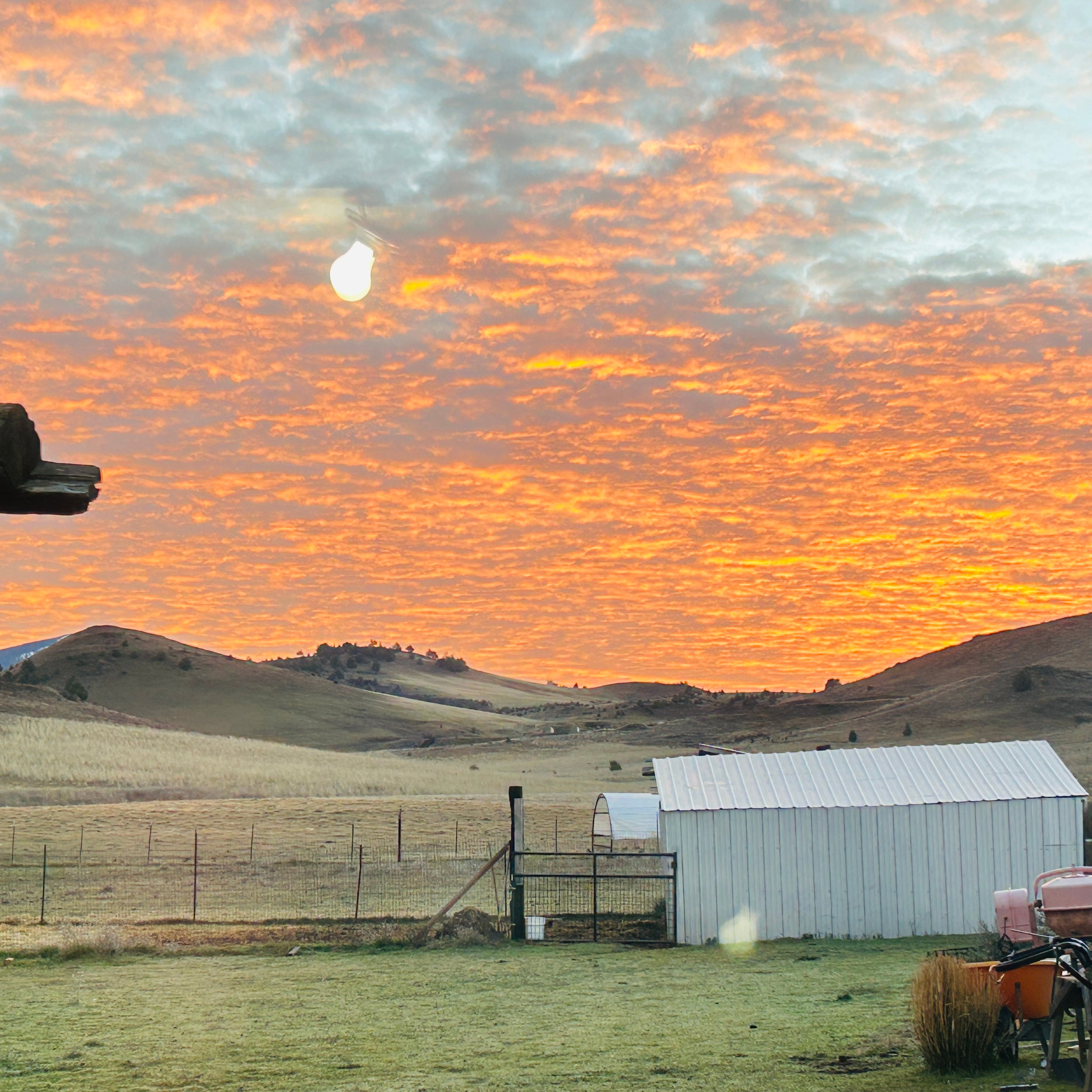 Crookedhouse Ranch in Shasta Valley