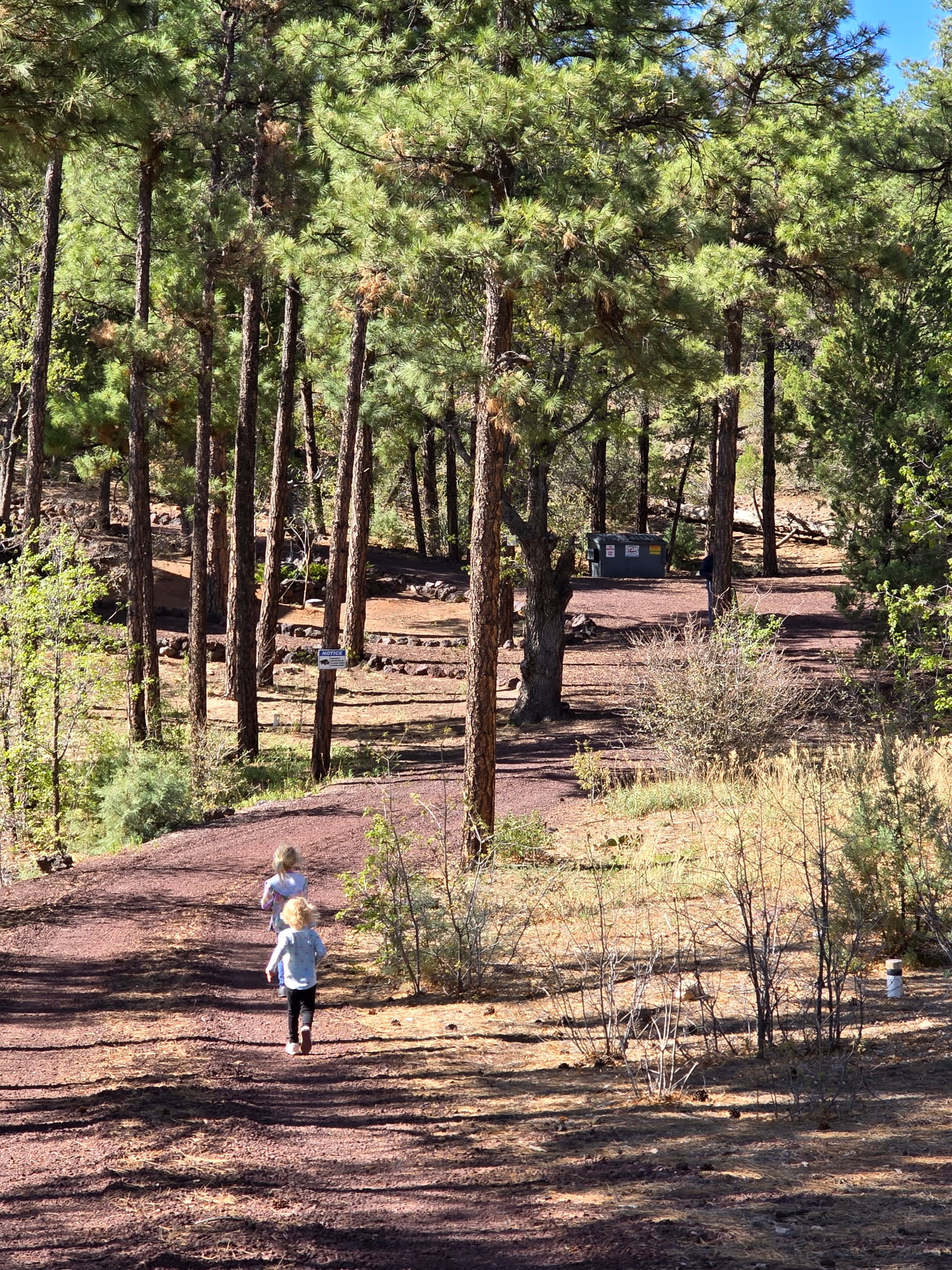 Elk Run