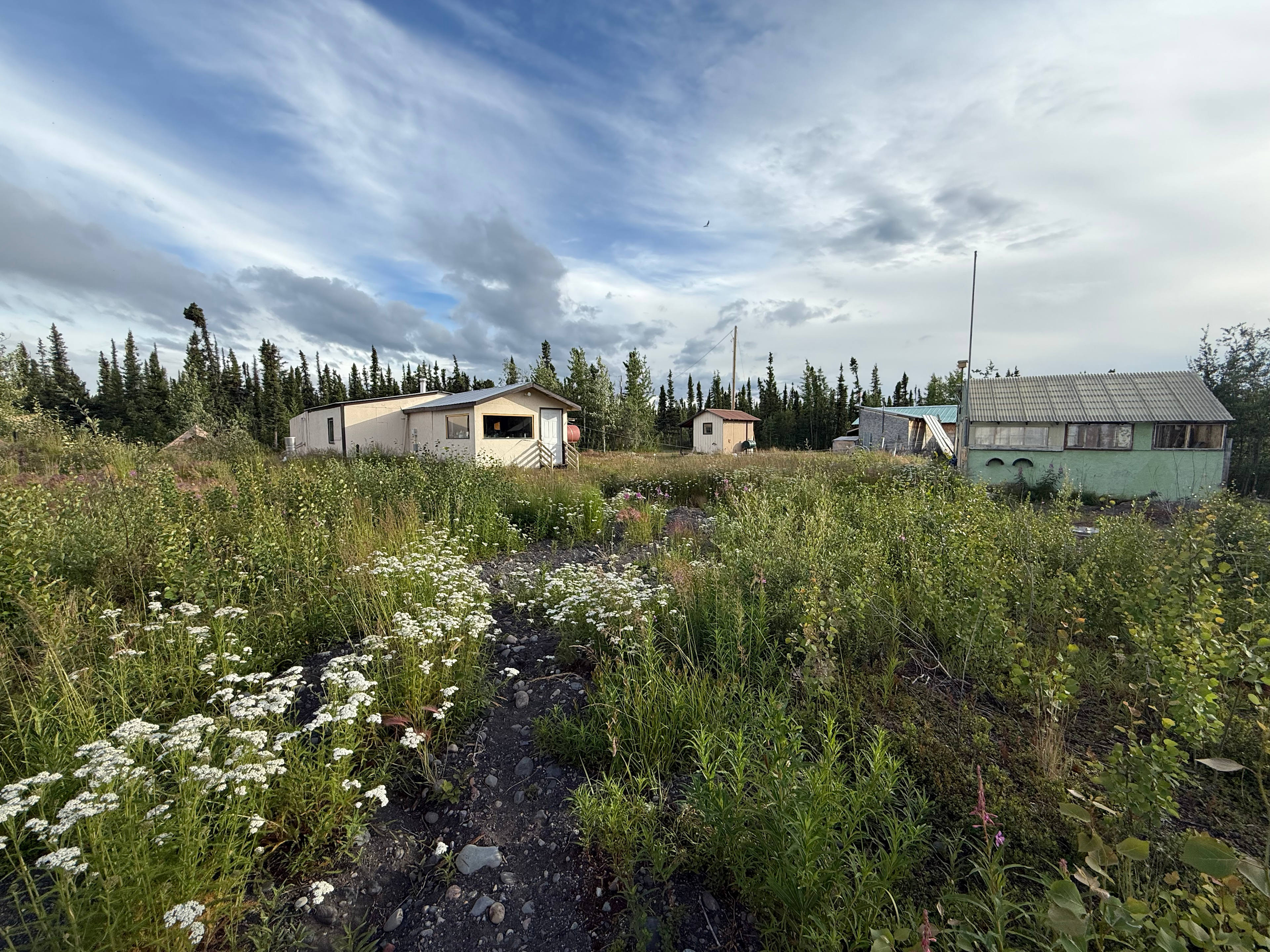 Silver Fox Pond Camp