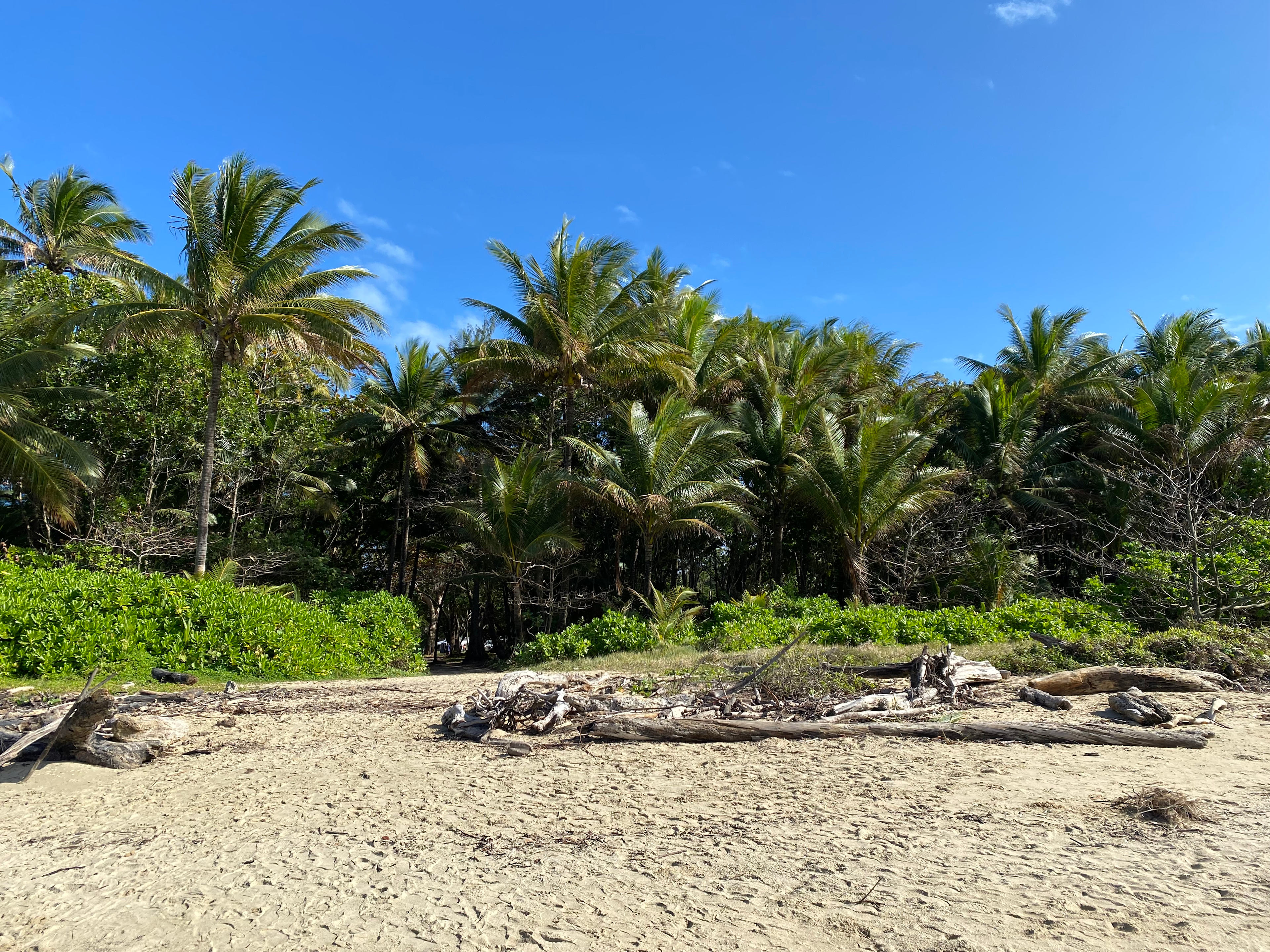 Daintree Beach Resort