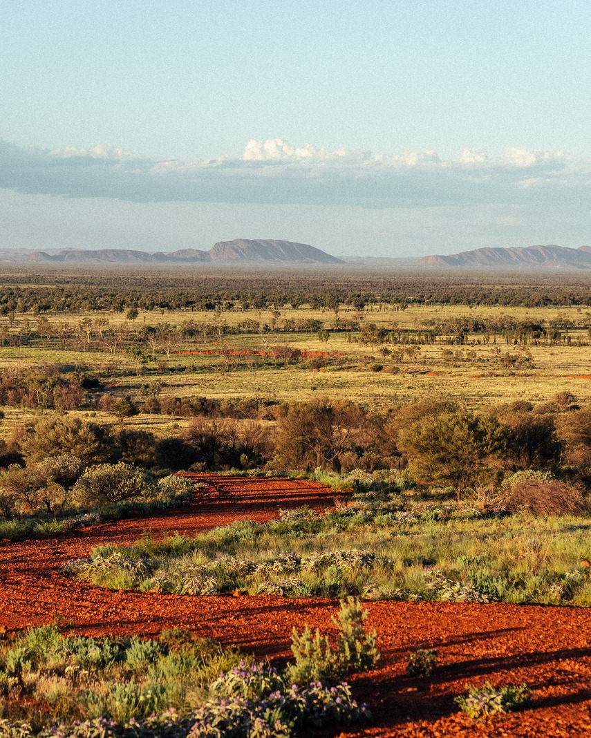 Ooraminna Homestead