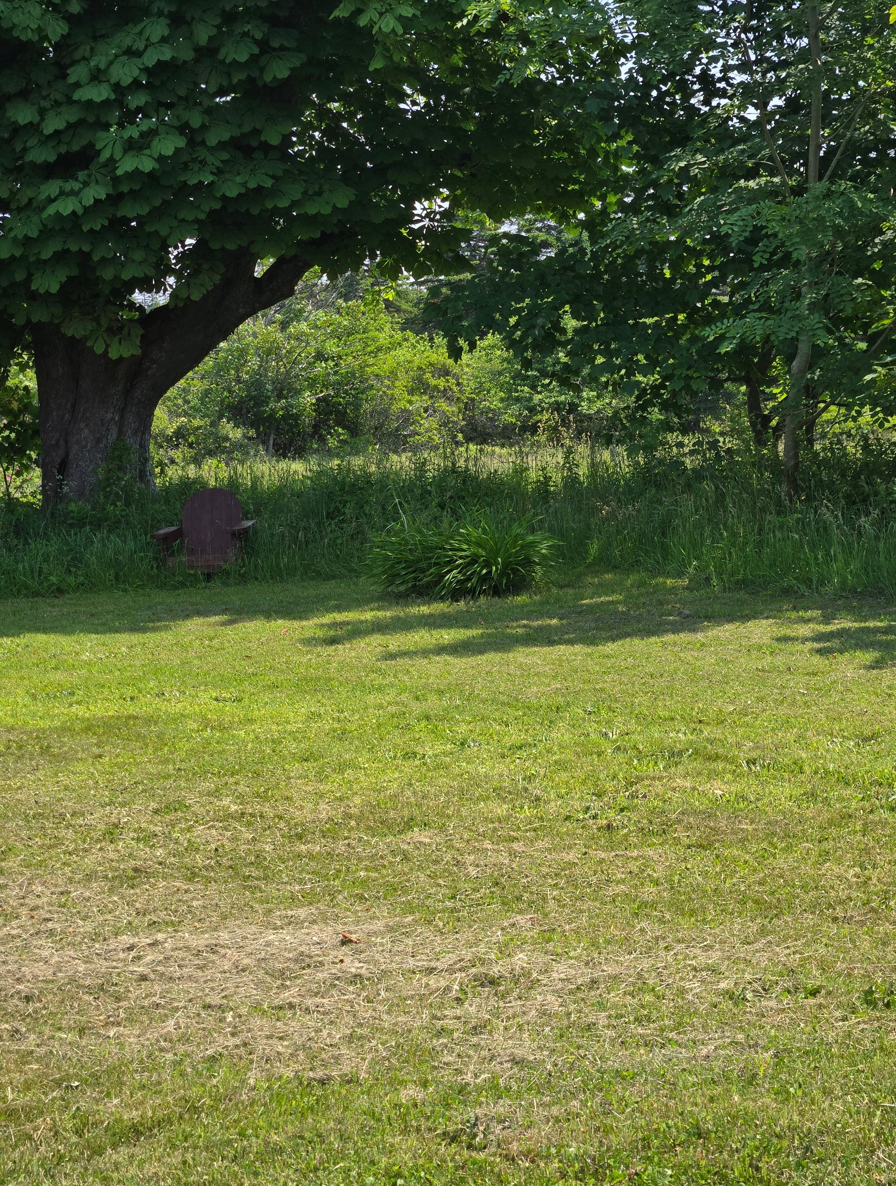 Green Grass of Home