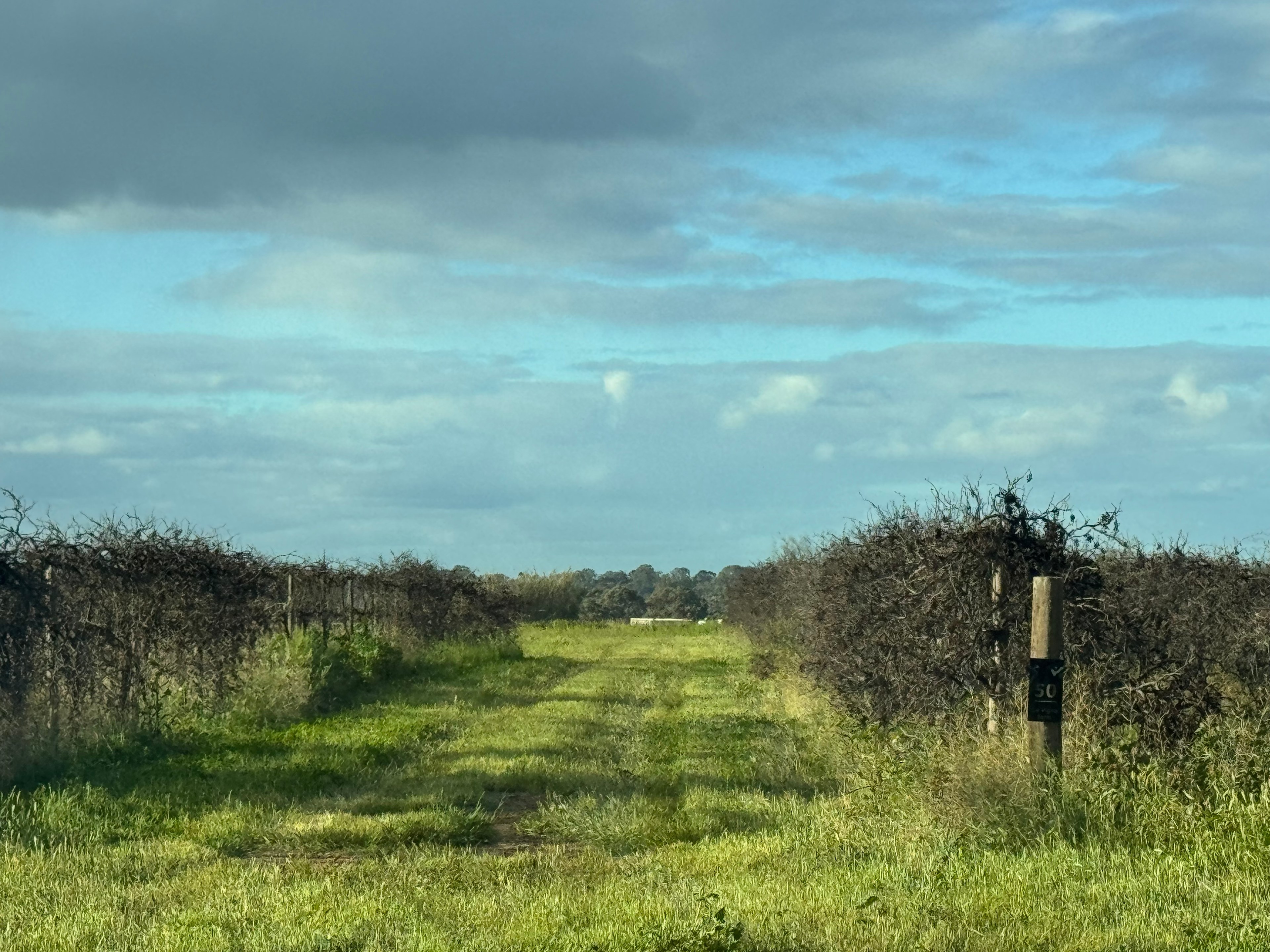 La Vigna Farm