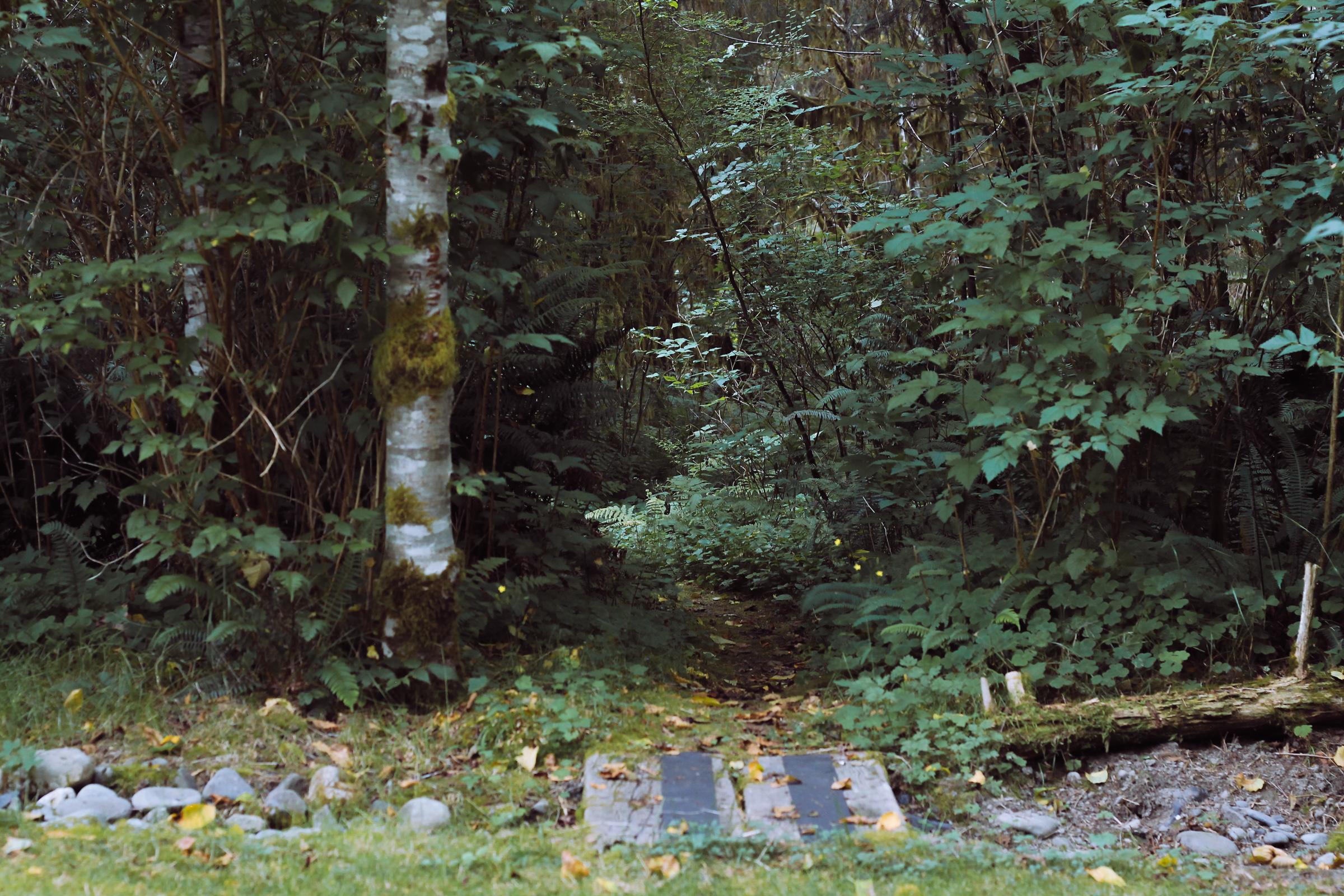 Secluded path on property. 