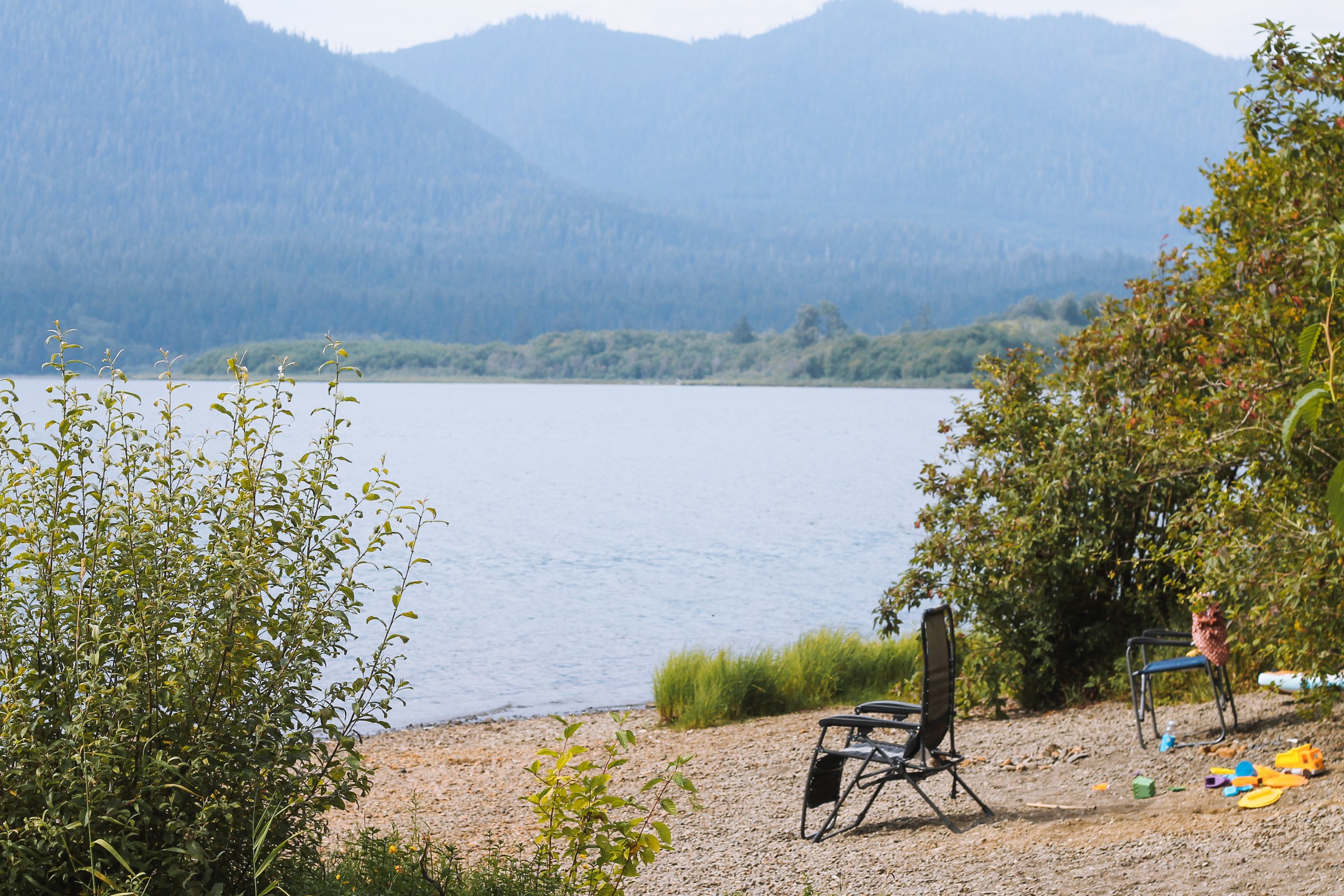 Lake Quinault nearby. 