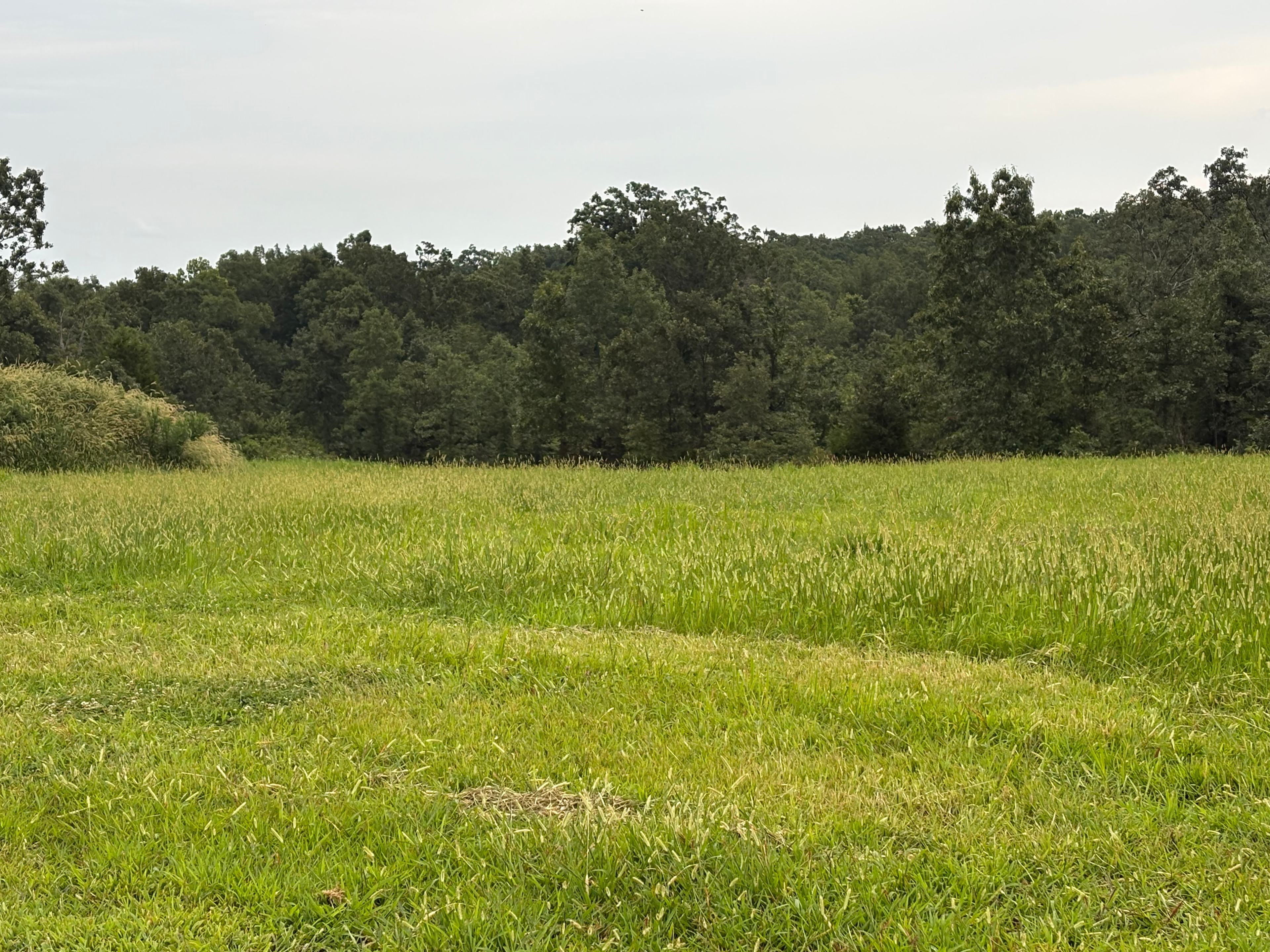 M&S Ranch