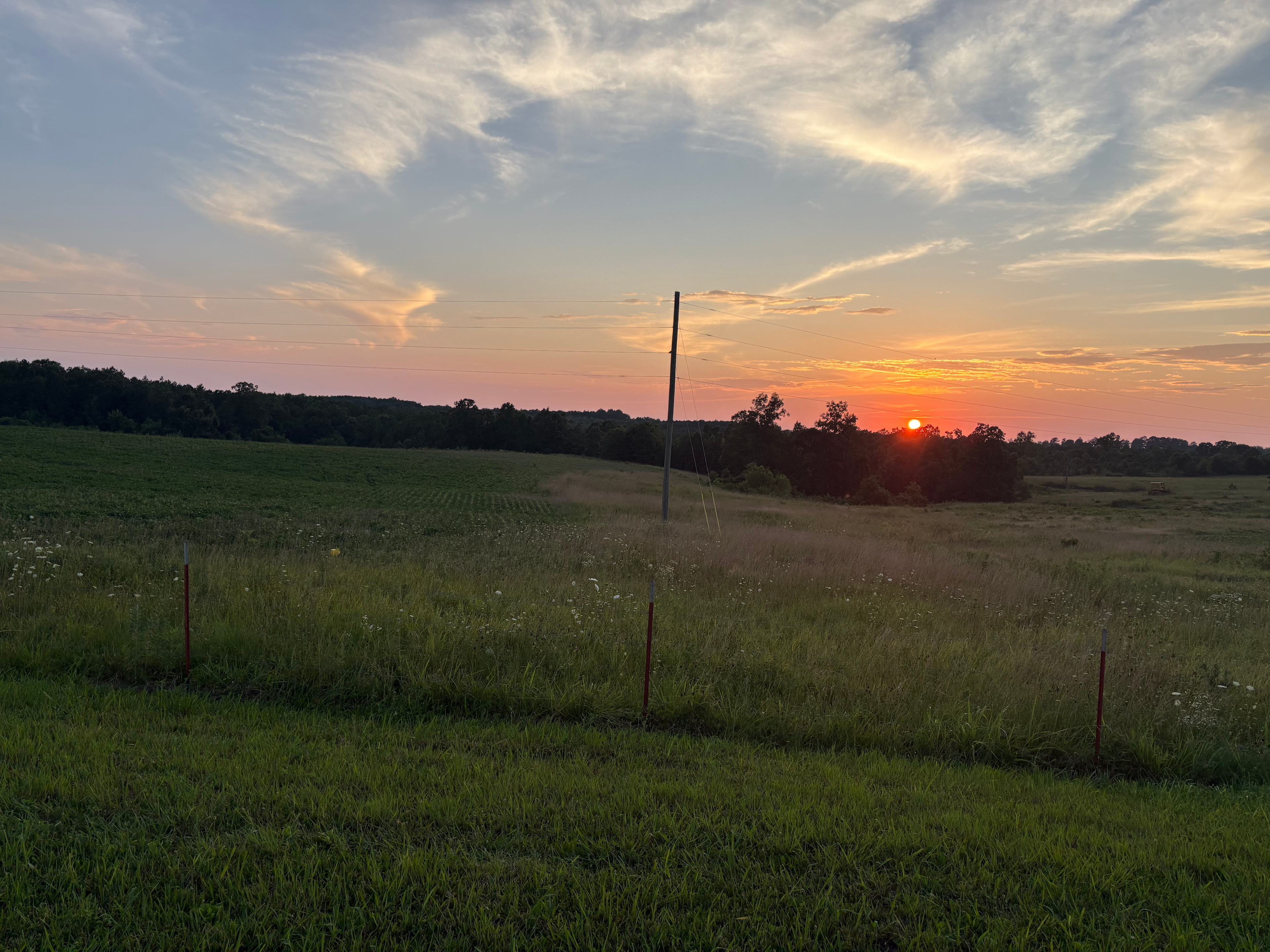 M&S Ranch