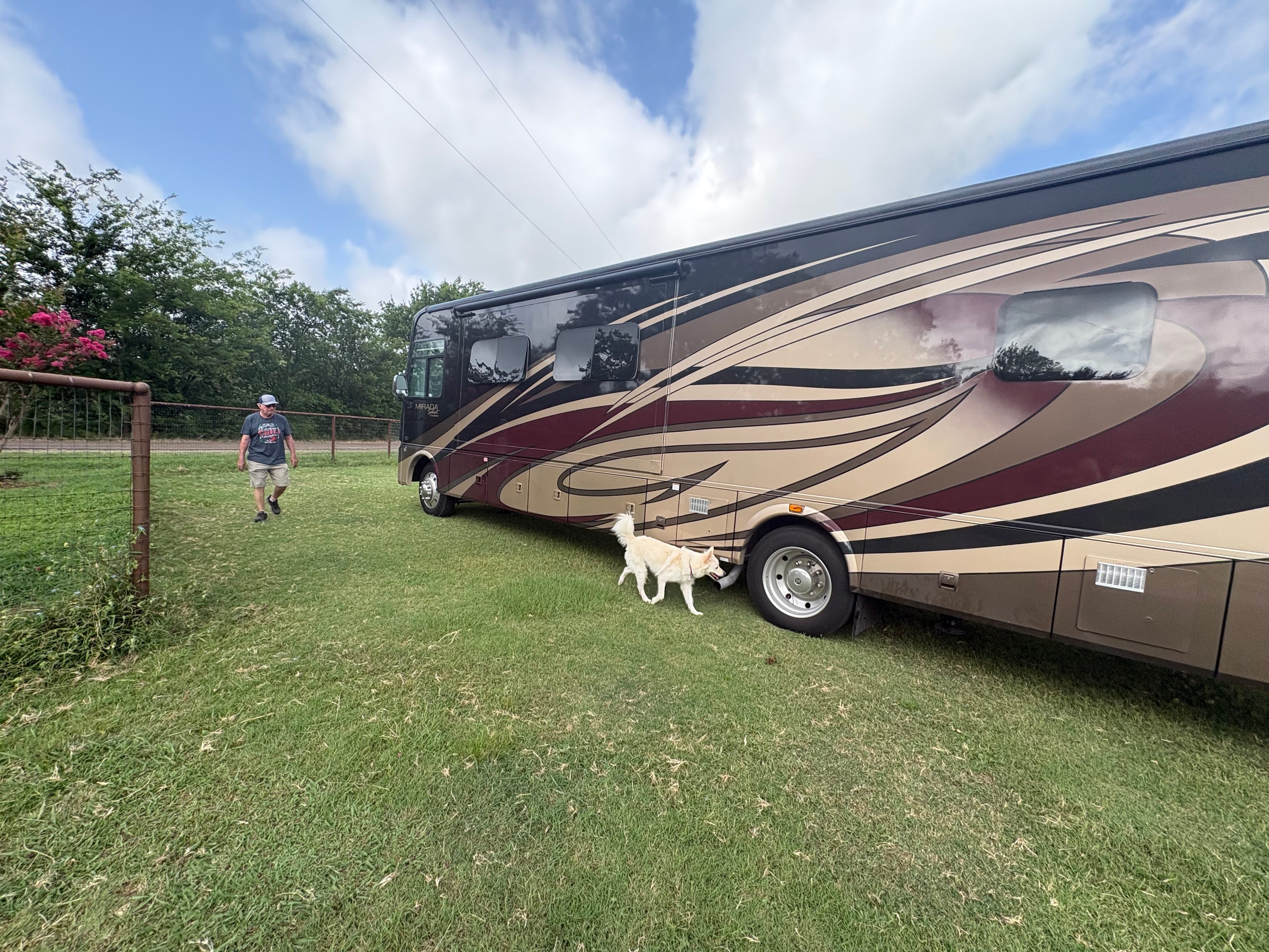 Golden Curls Ranch