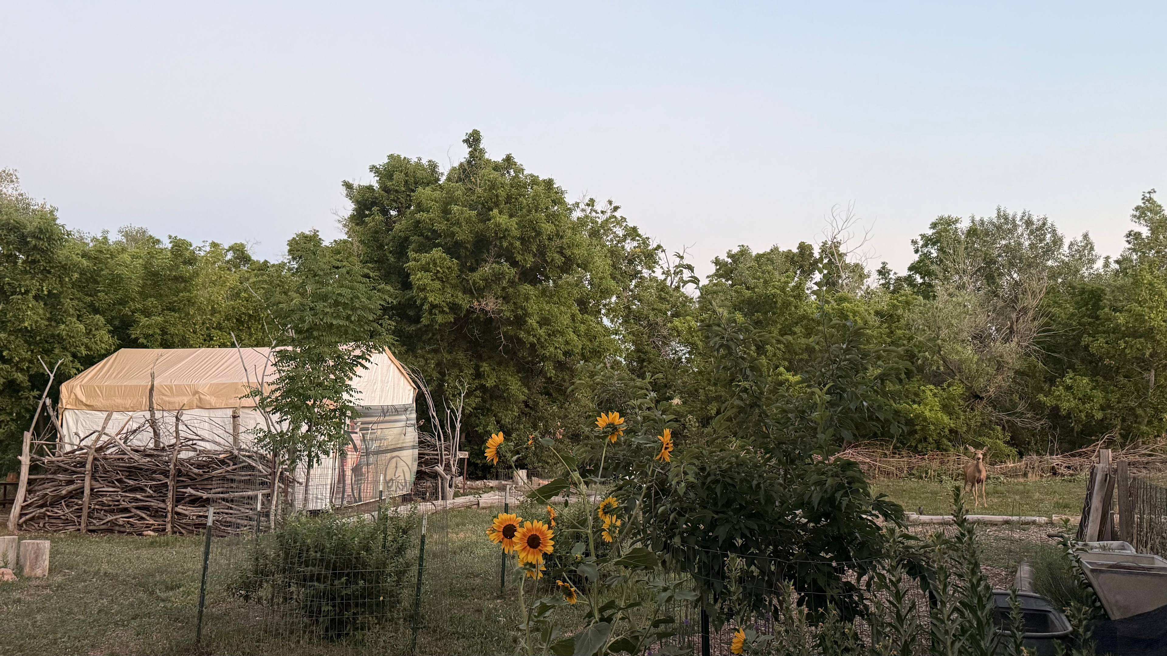 RedRocksParadise Glamping &RV Sites