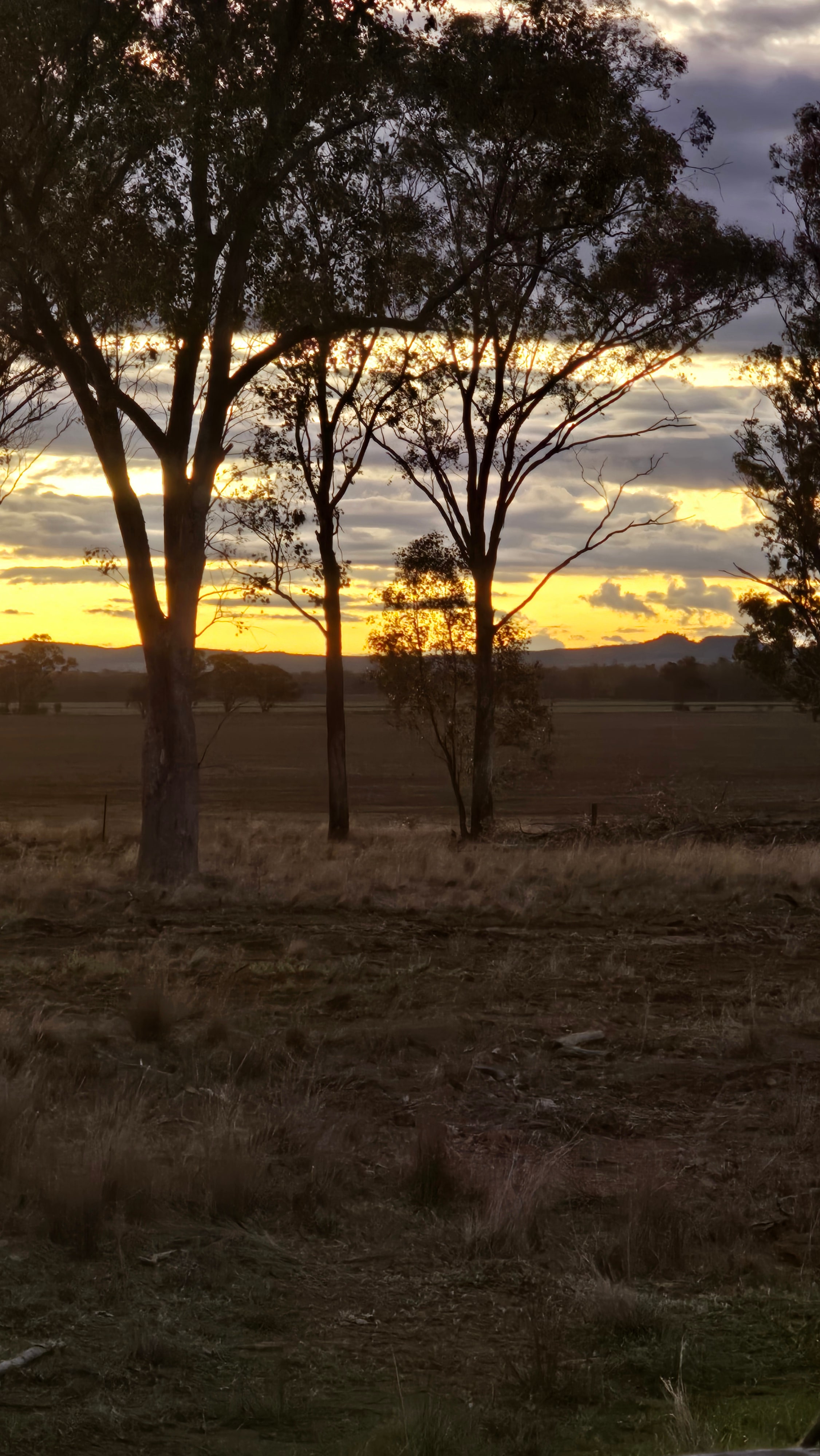 Boonamarah