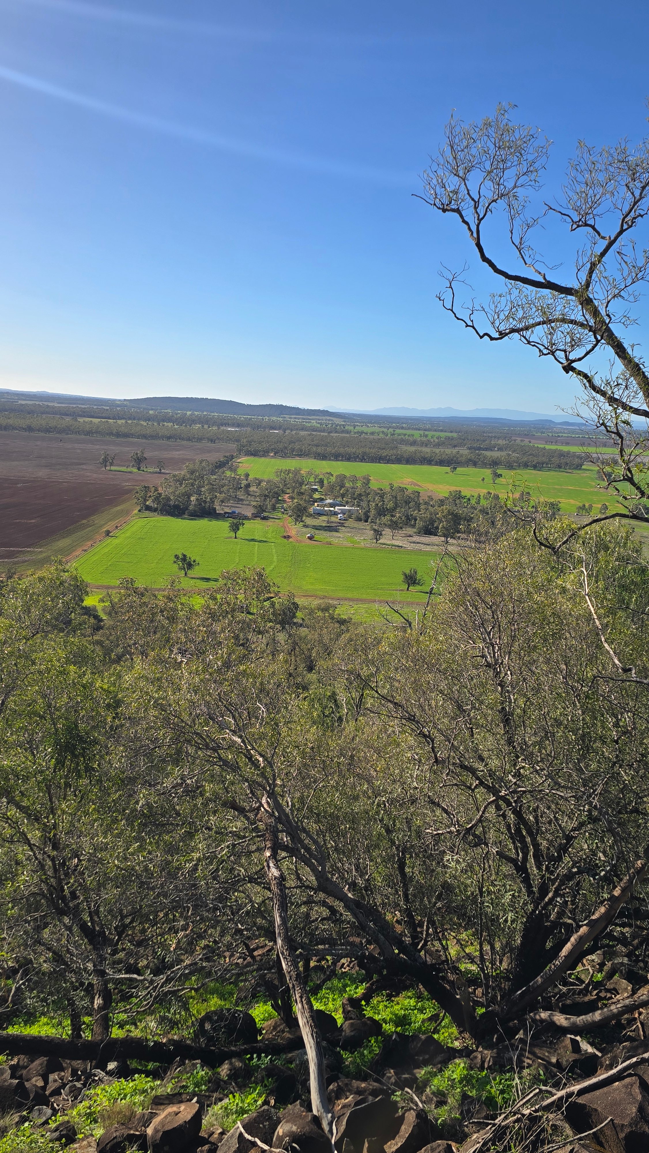 Boonamarah