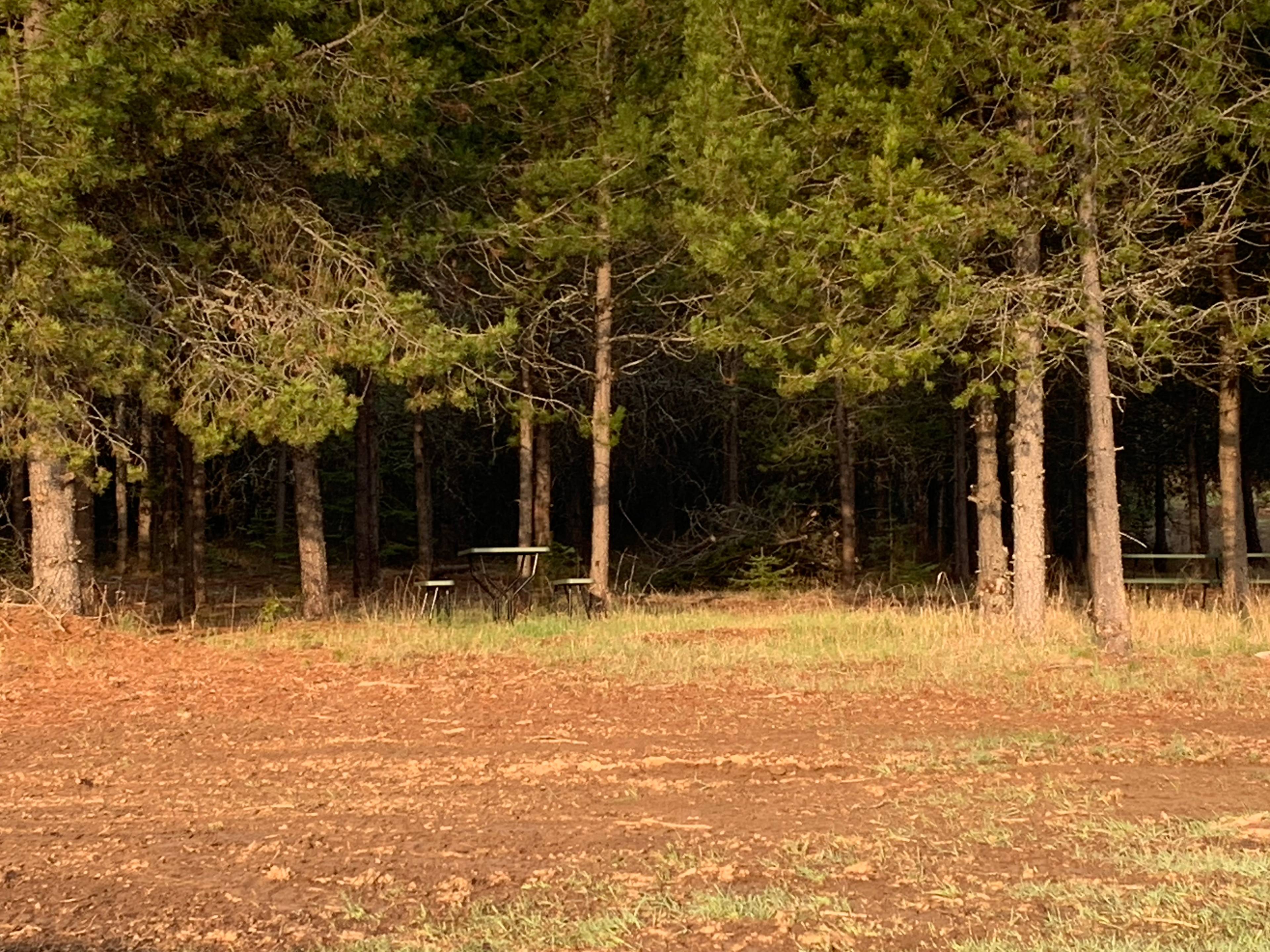 S&s Ranch