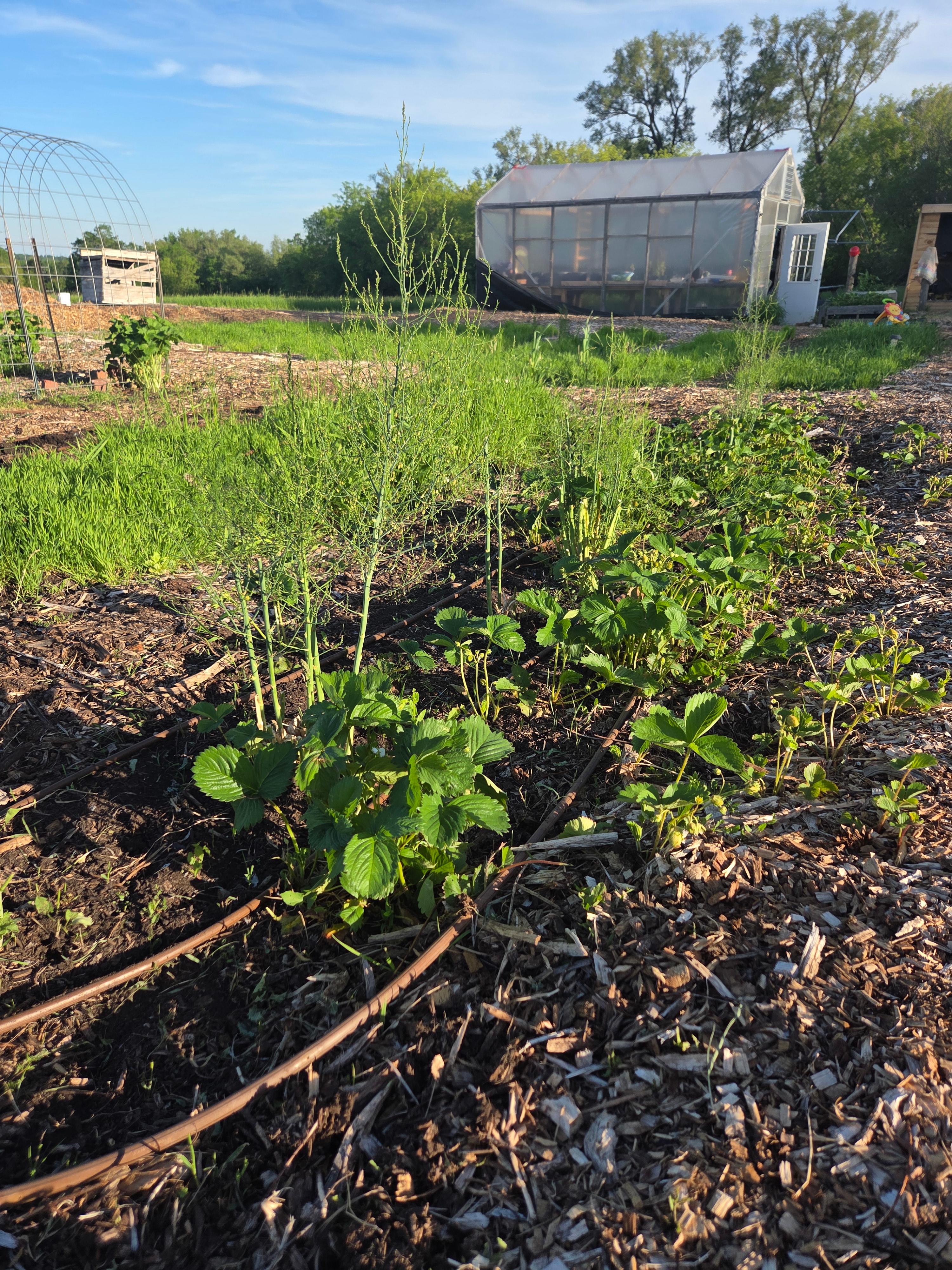 PolyGreen Acres