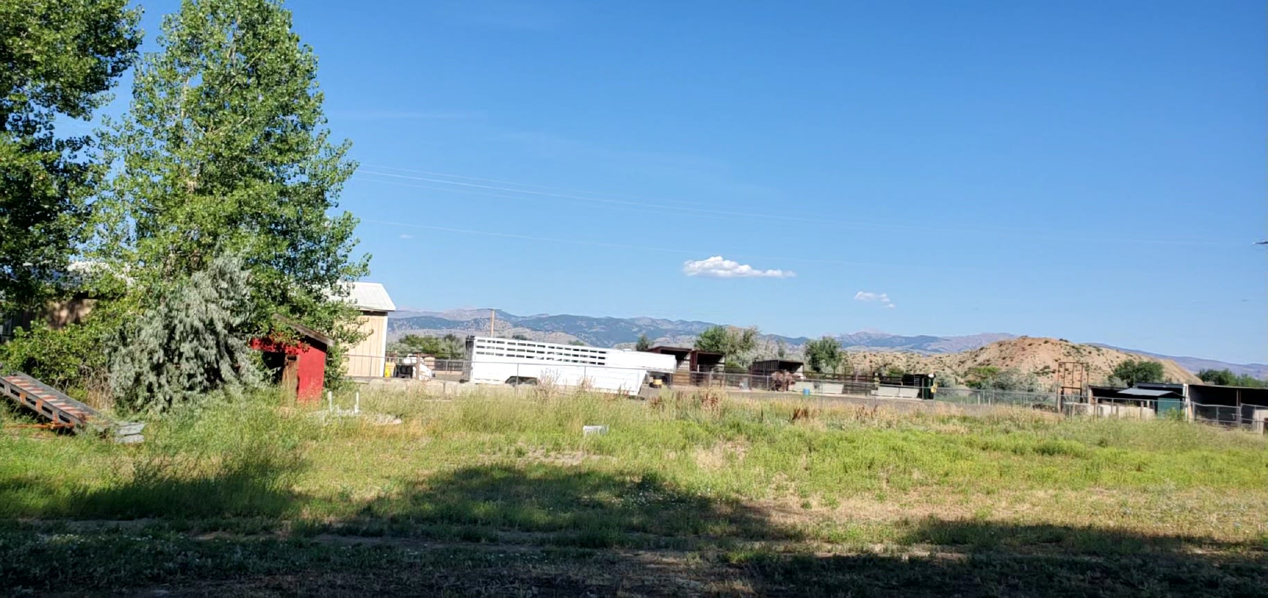 DDs Homestead