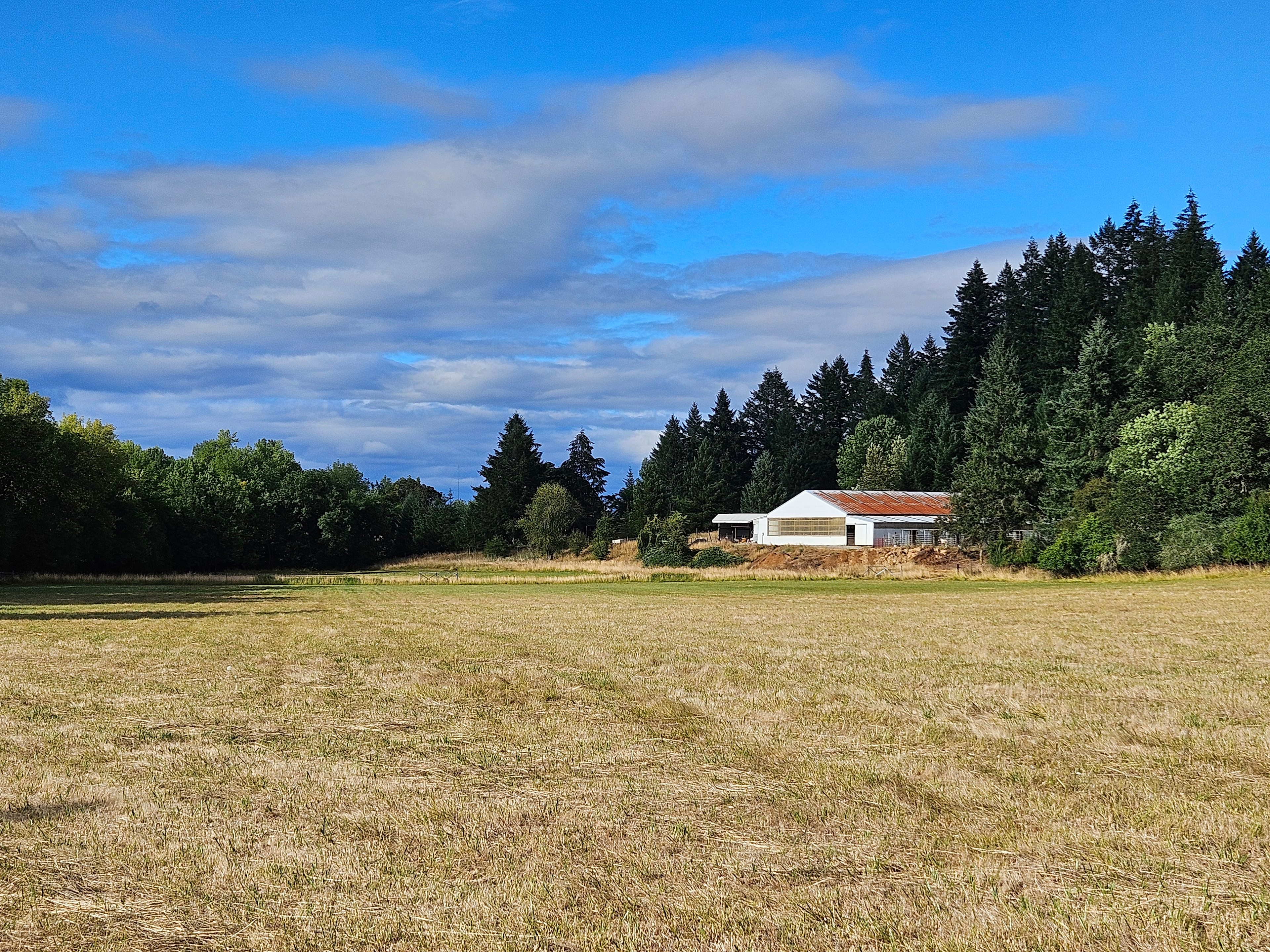 Circle C Farm