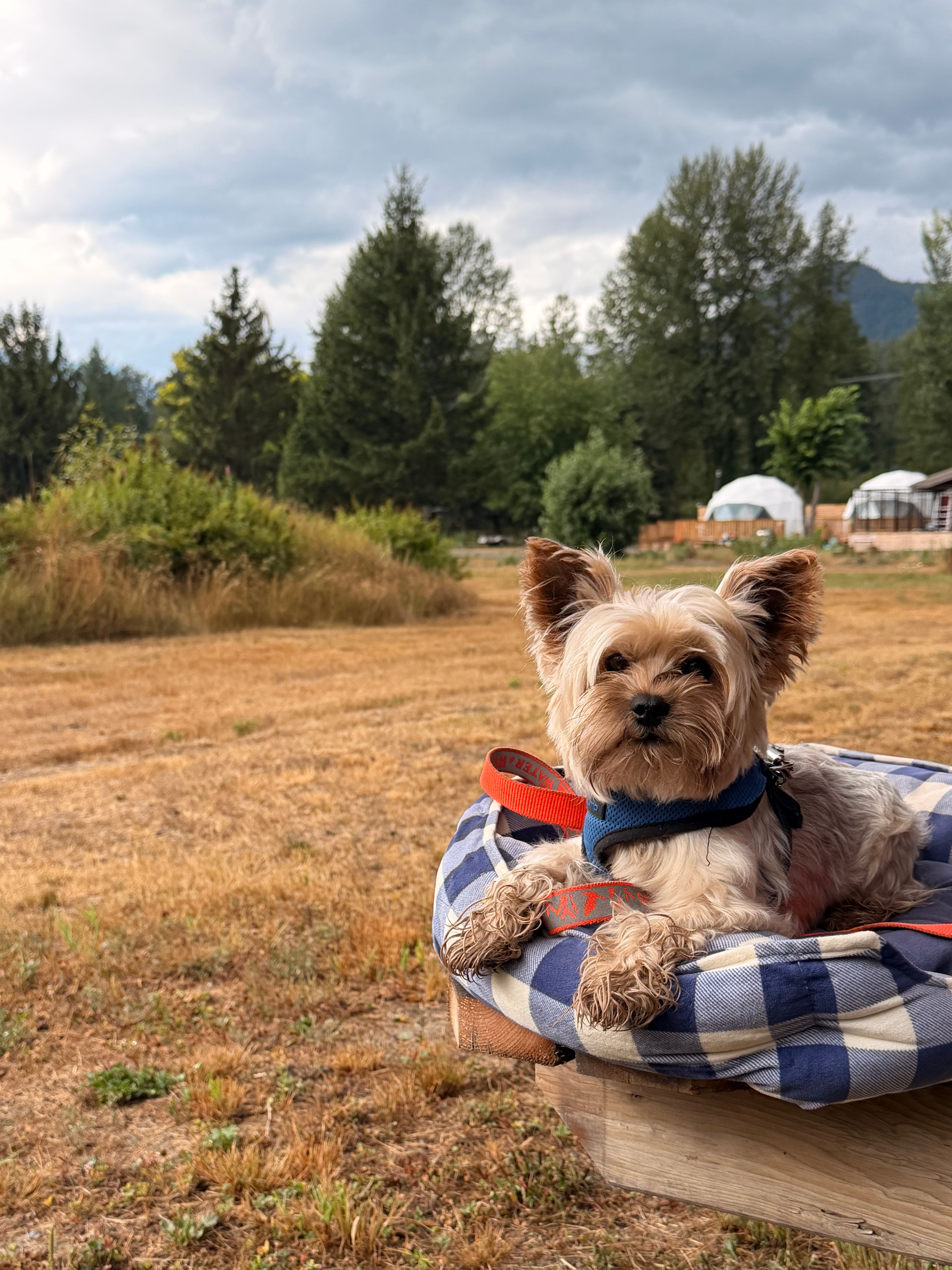 Pemberton Adventure Ranch