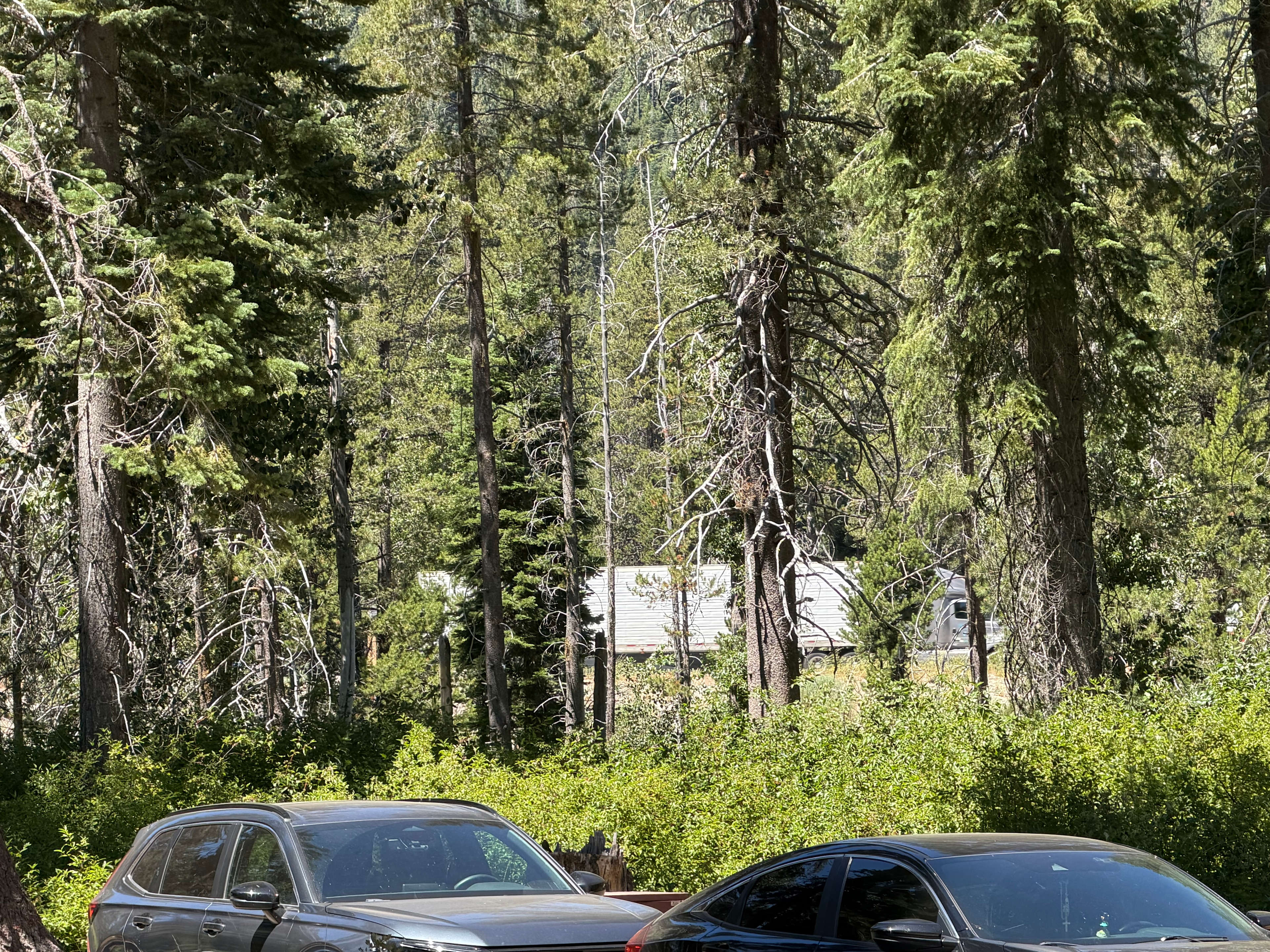 Hampshire Rocks Campground