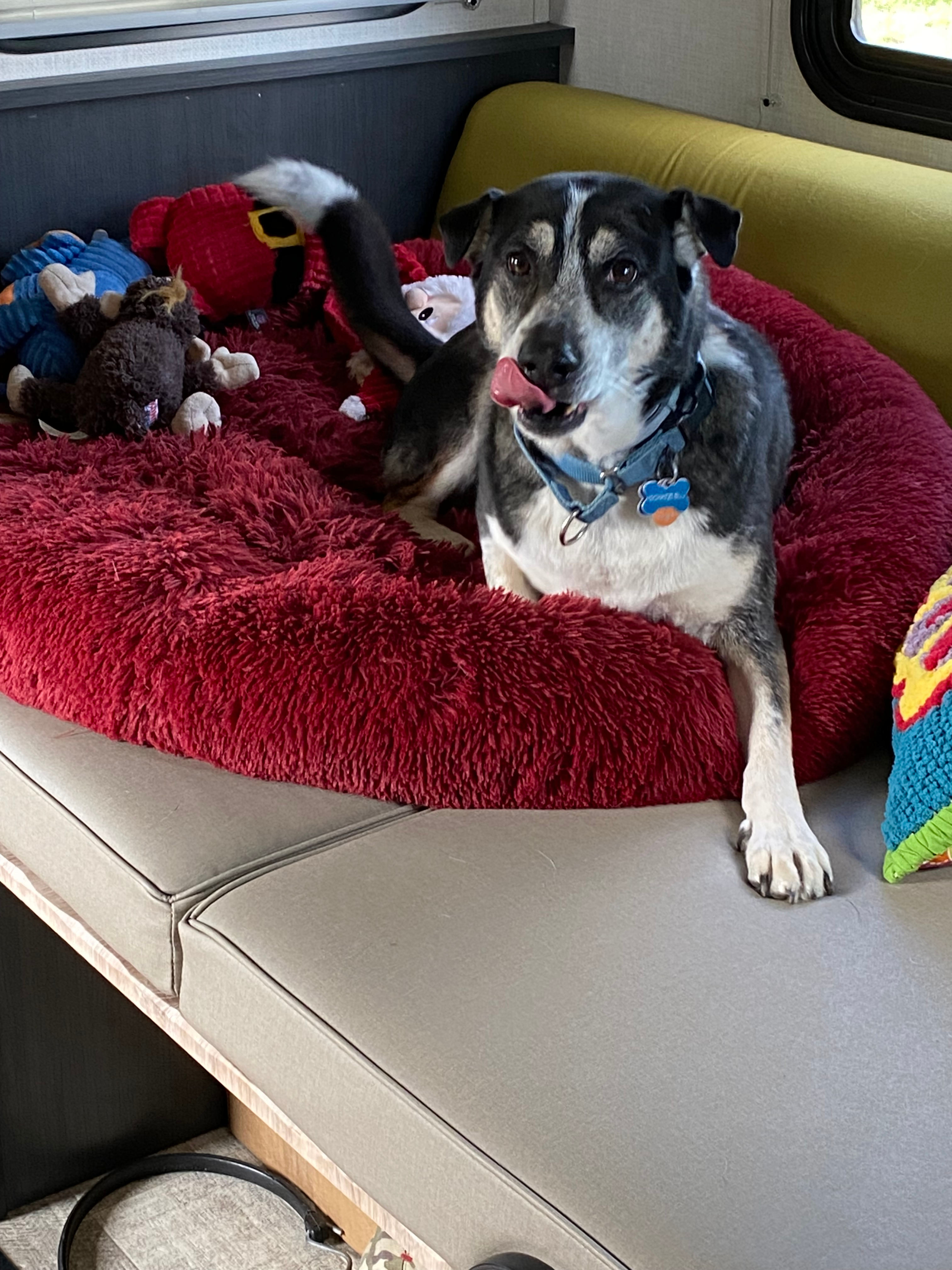 Blu "camping" in air conditioning! 