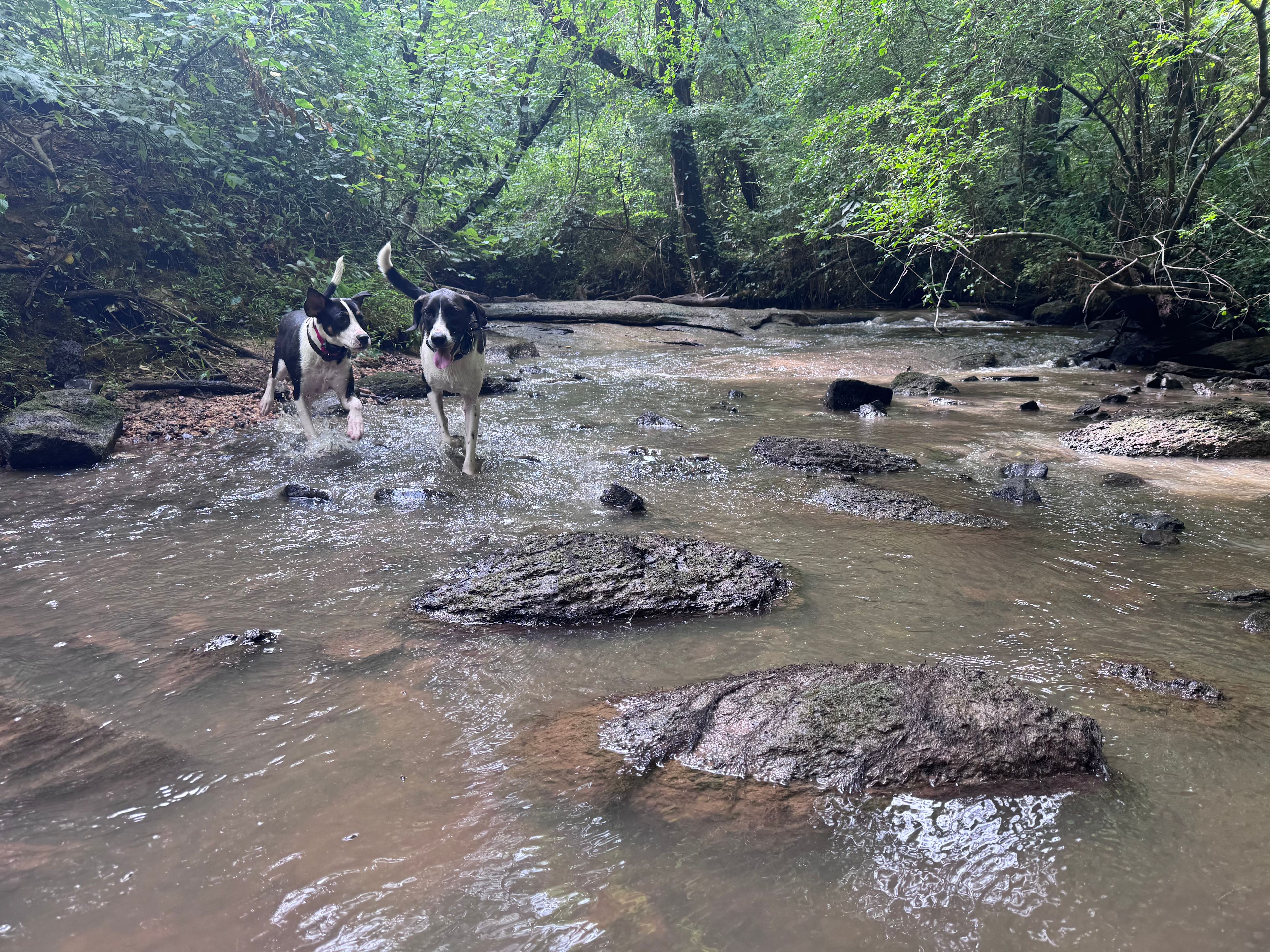 The swimming hole