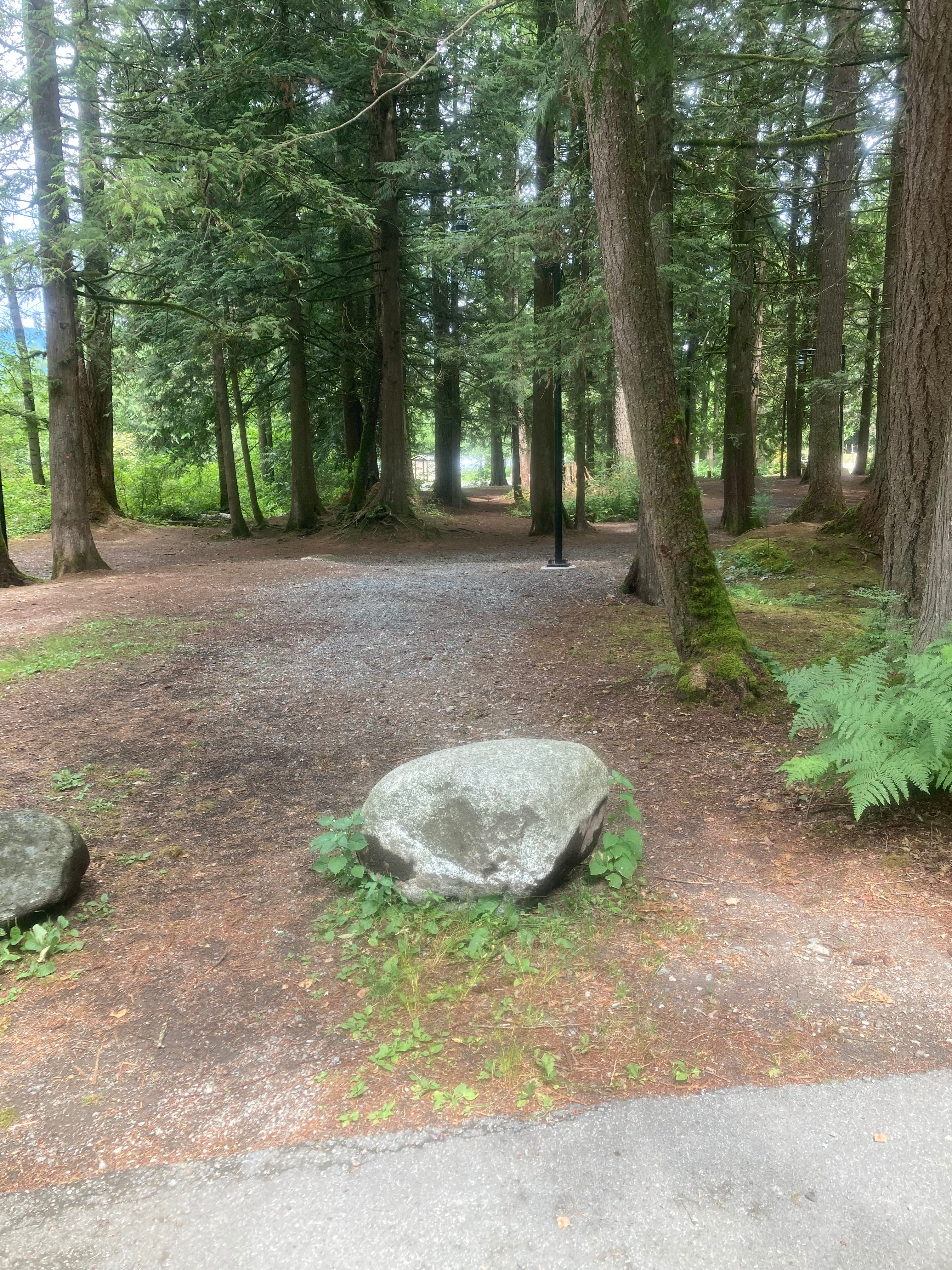 Whonnock Willow Farm and Campground