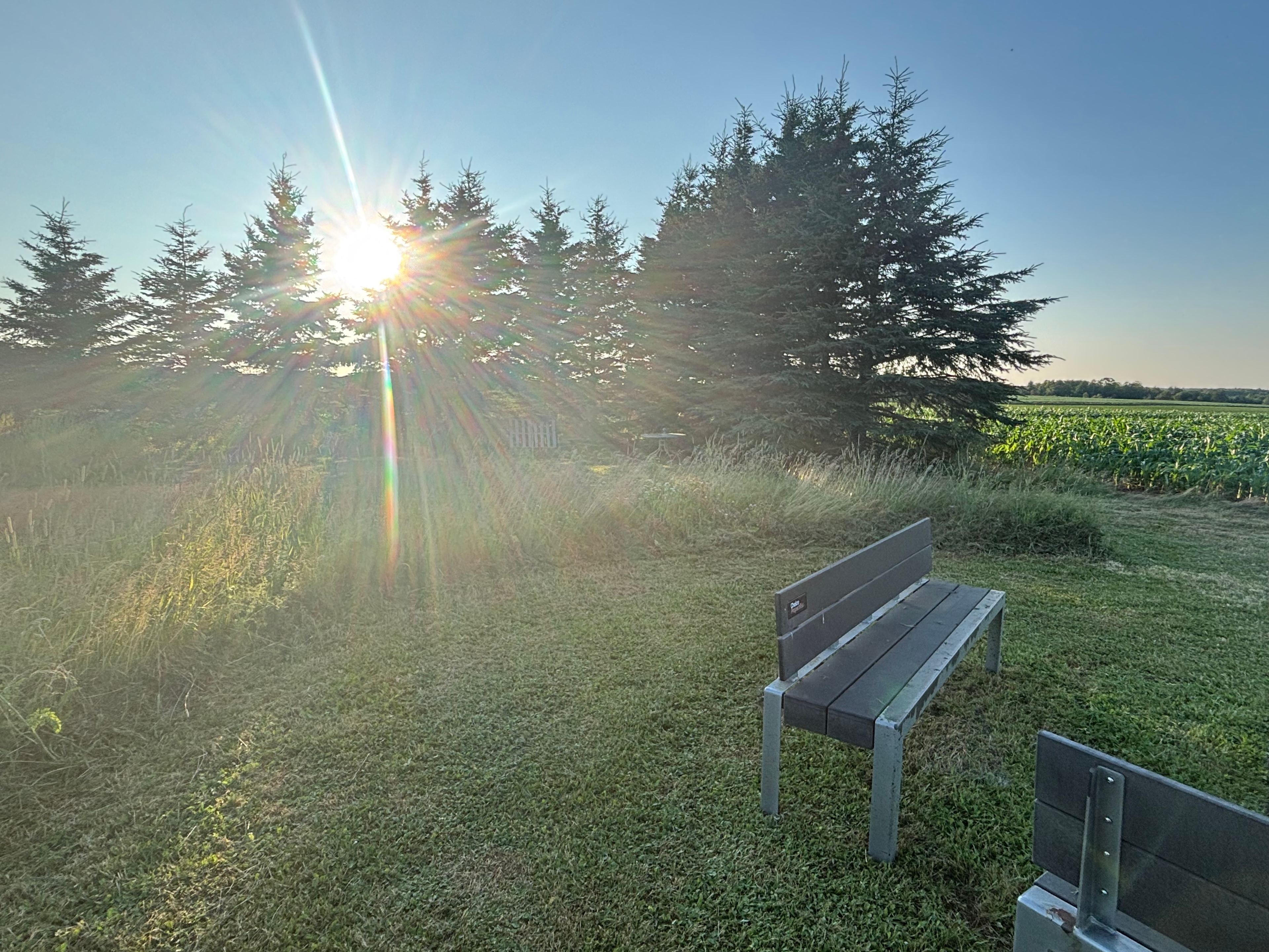 Nora’s Hill