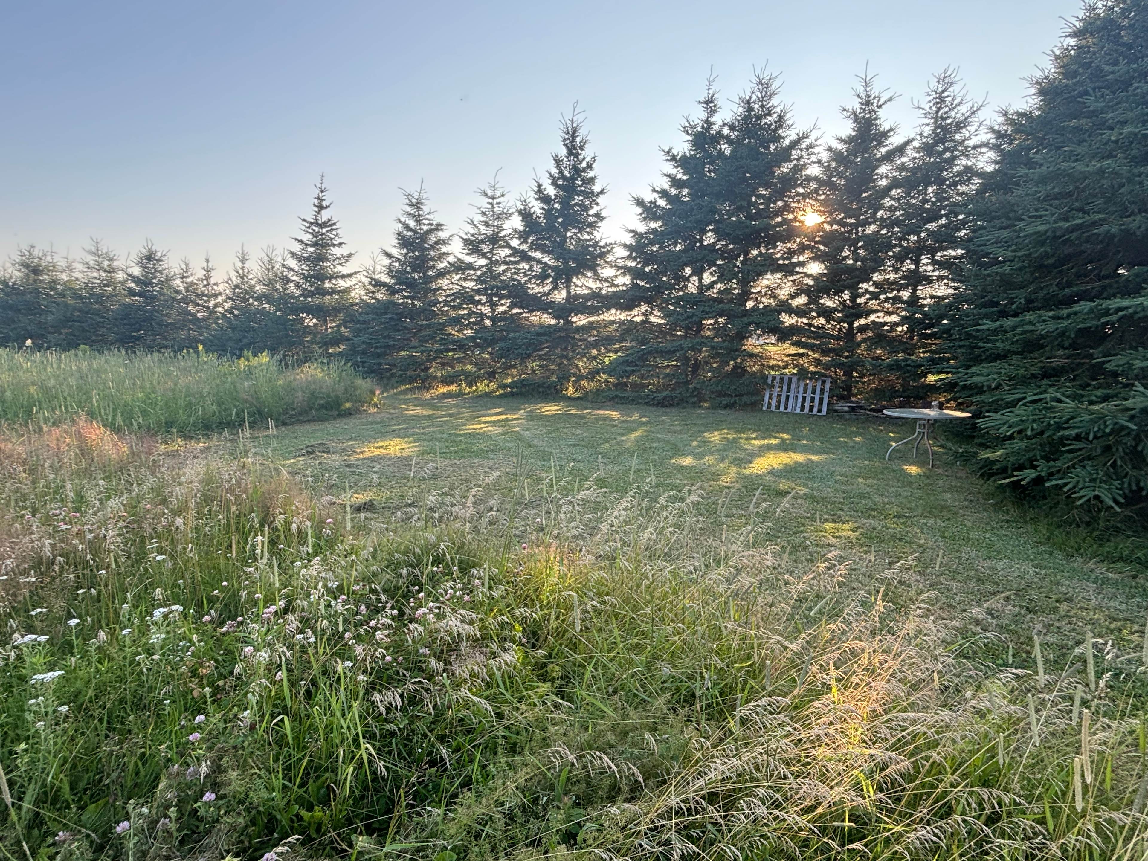 Nora’s Hill
