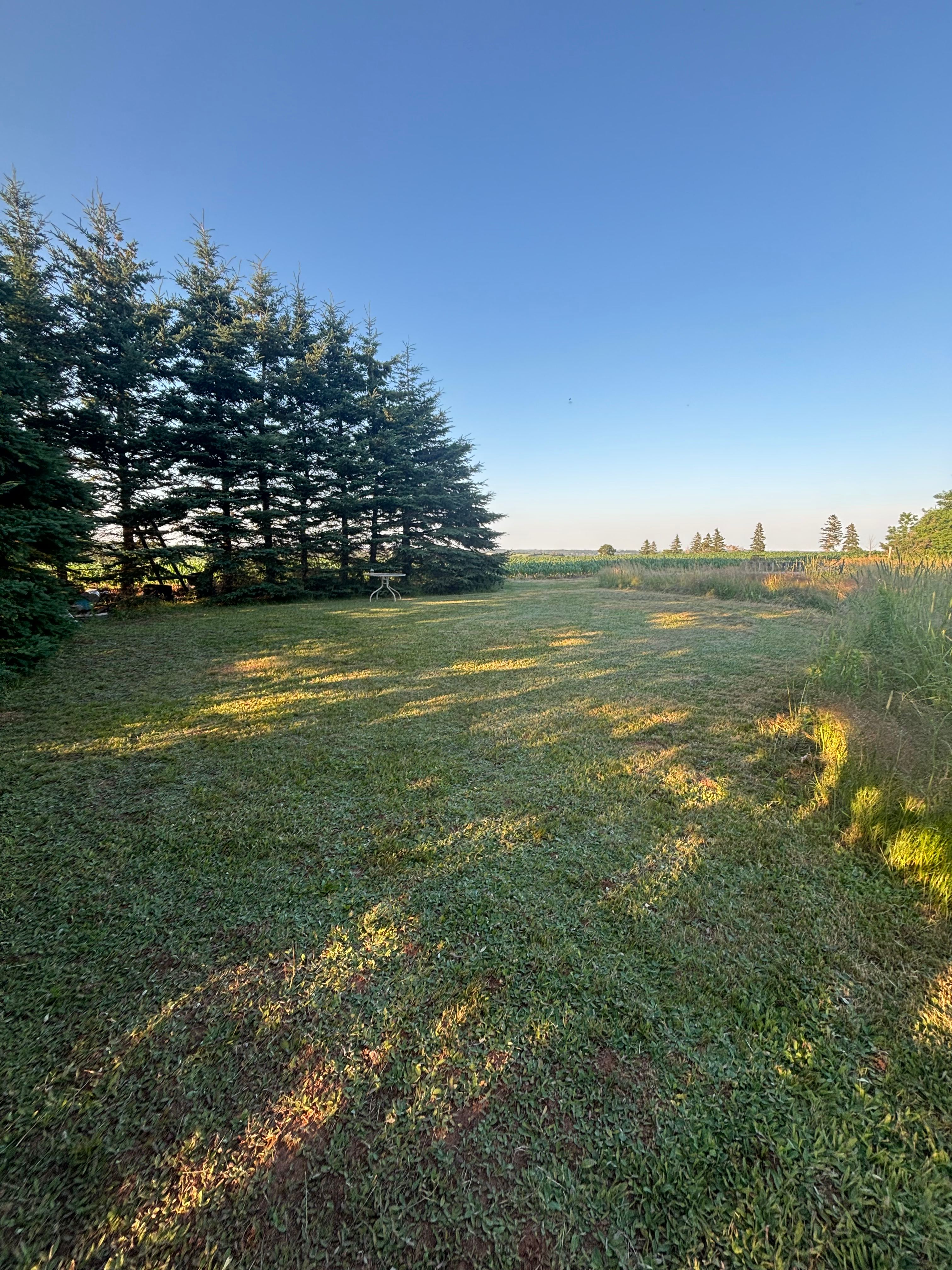Nora’s Hill