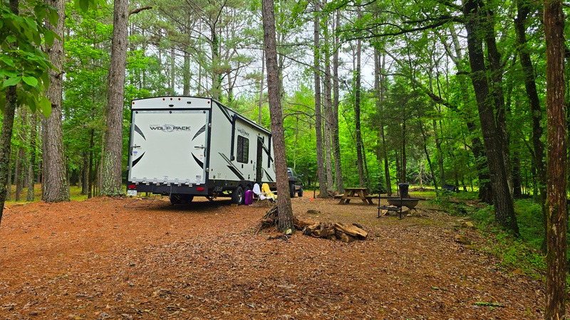 Fancy Hill Cabins and RV Park LLC