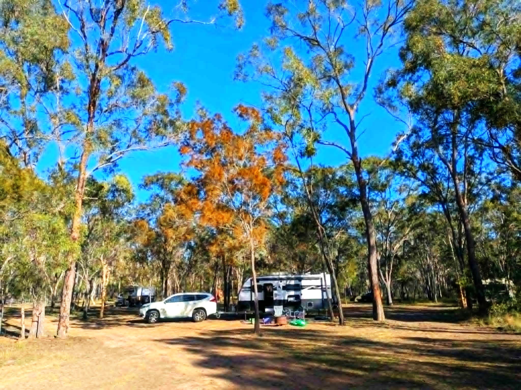 Woodlands Farmstay and Glamping