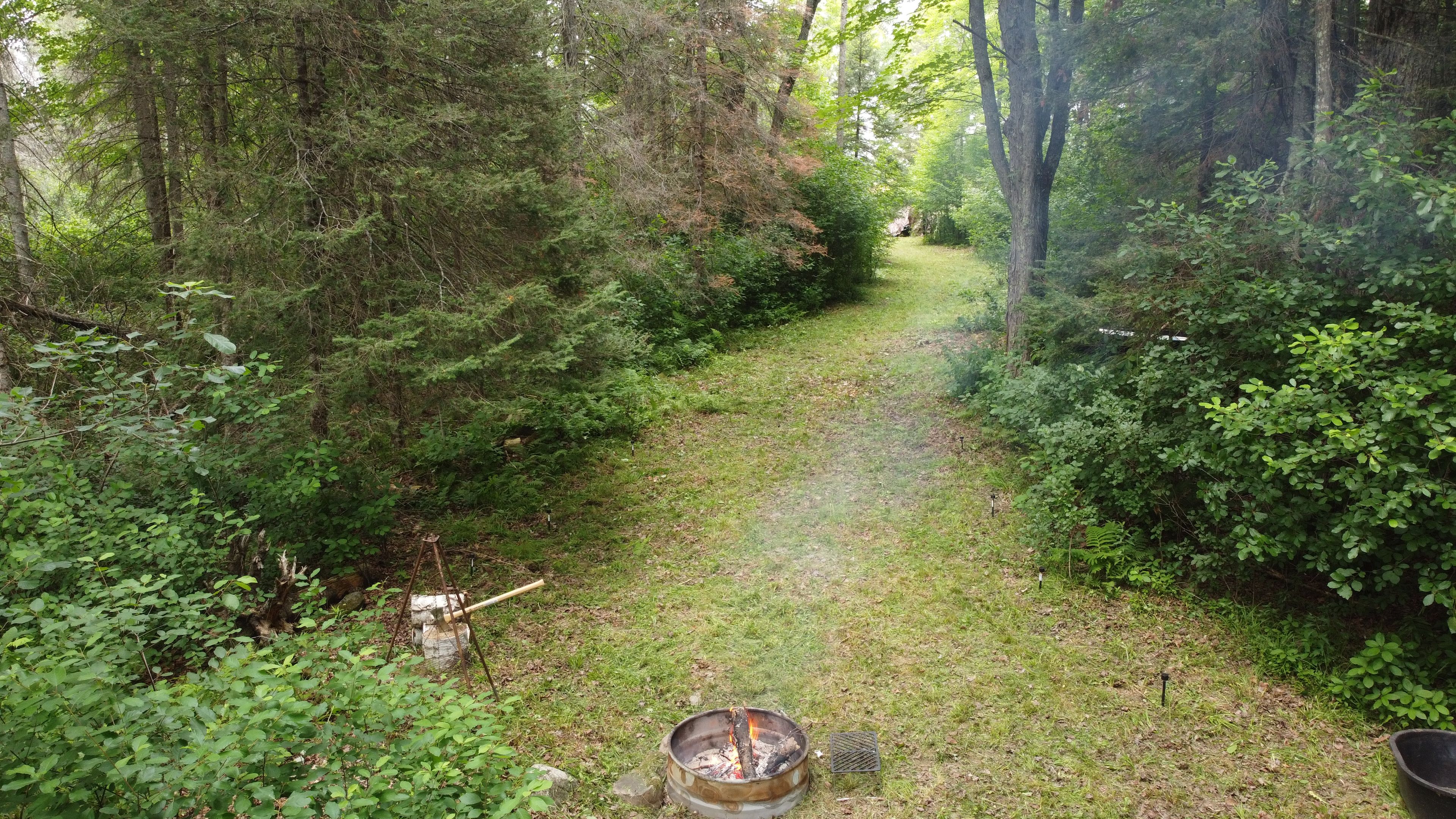 Maple Lane