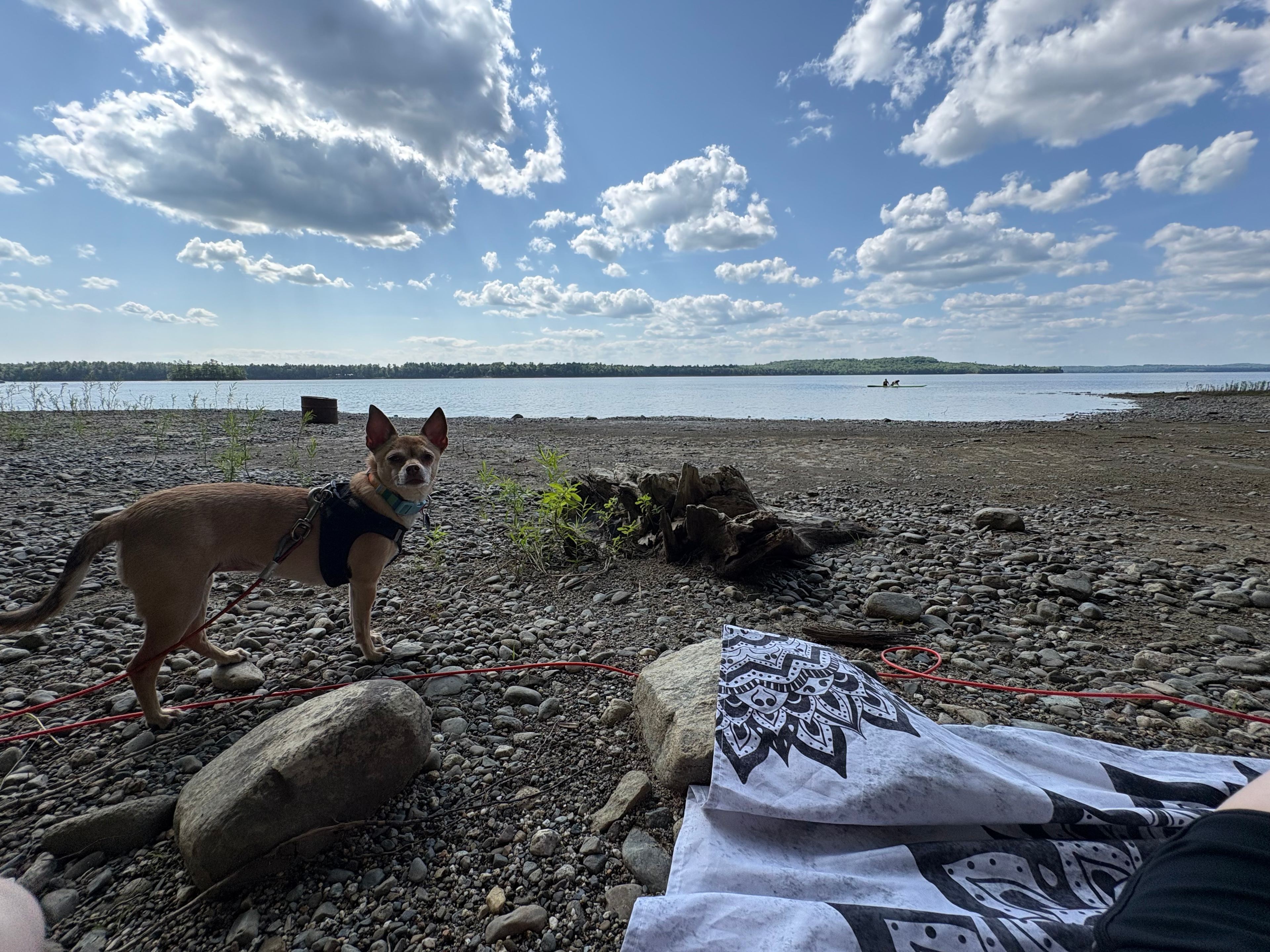 Wild Soul Serenity Campground