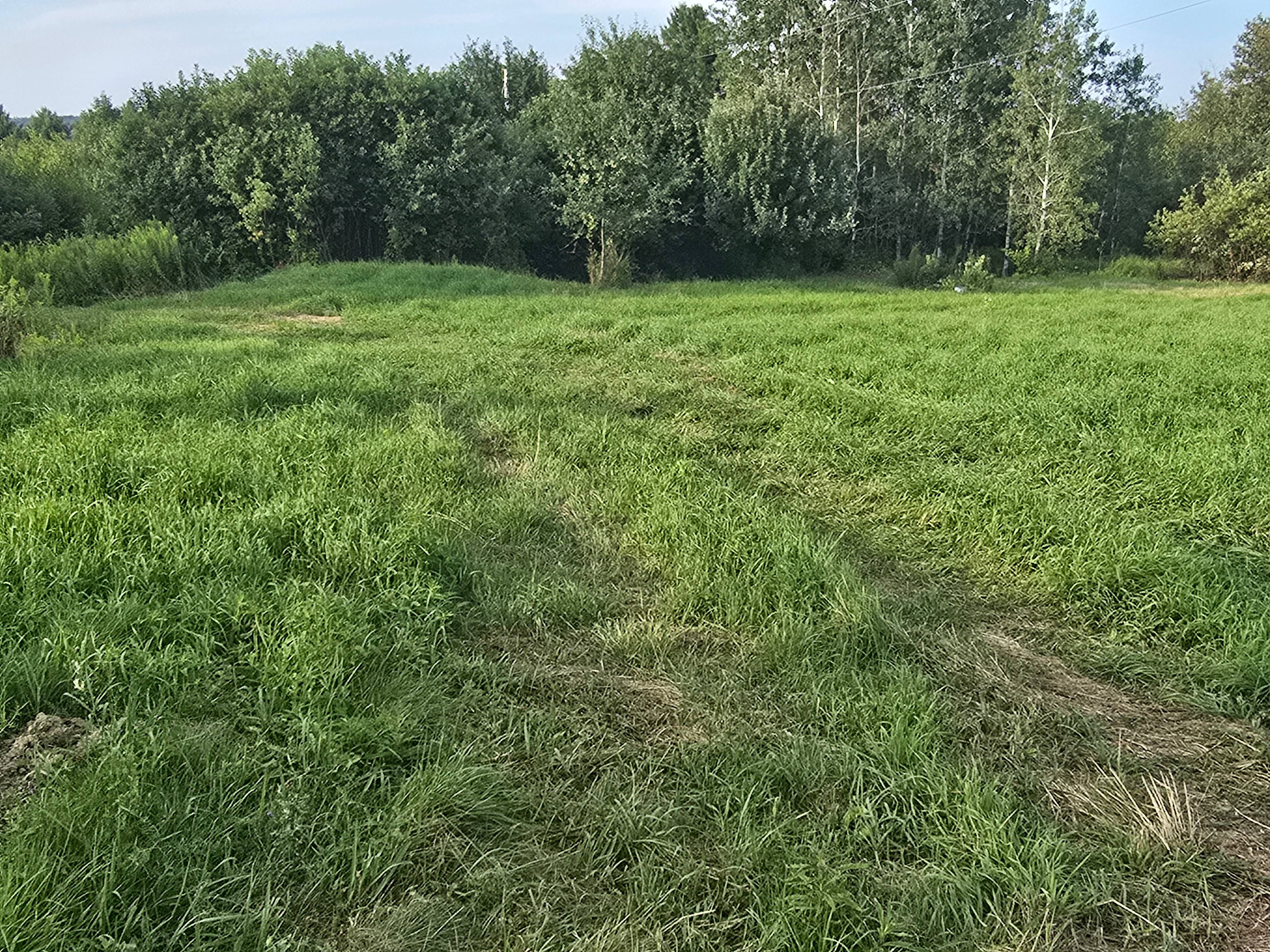 Cow Team Campsites