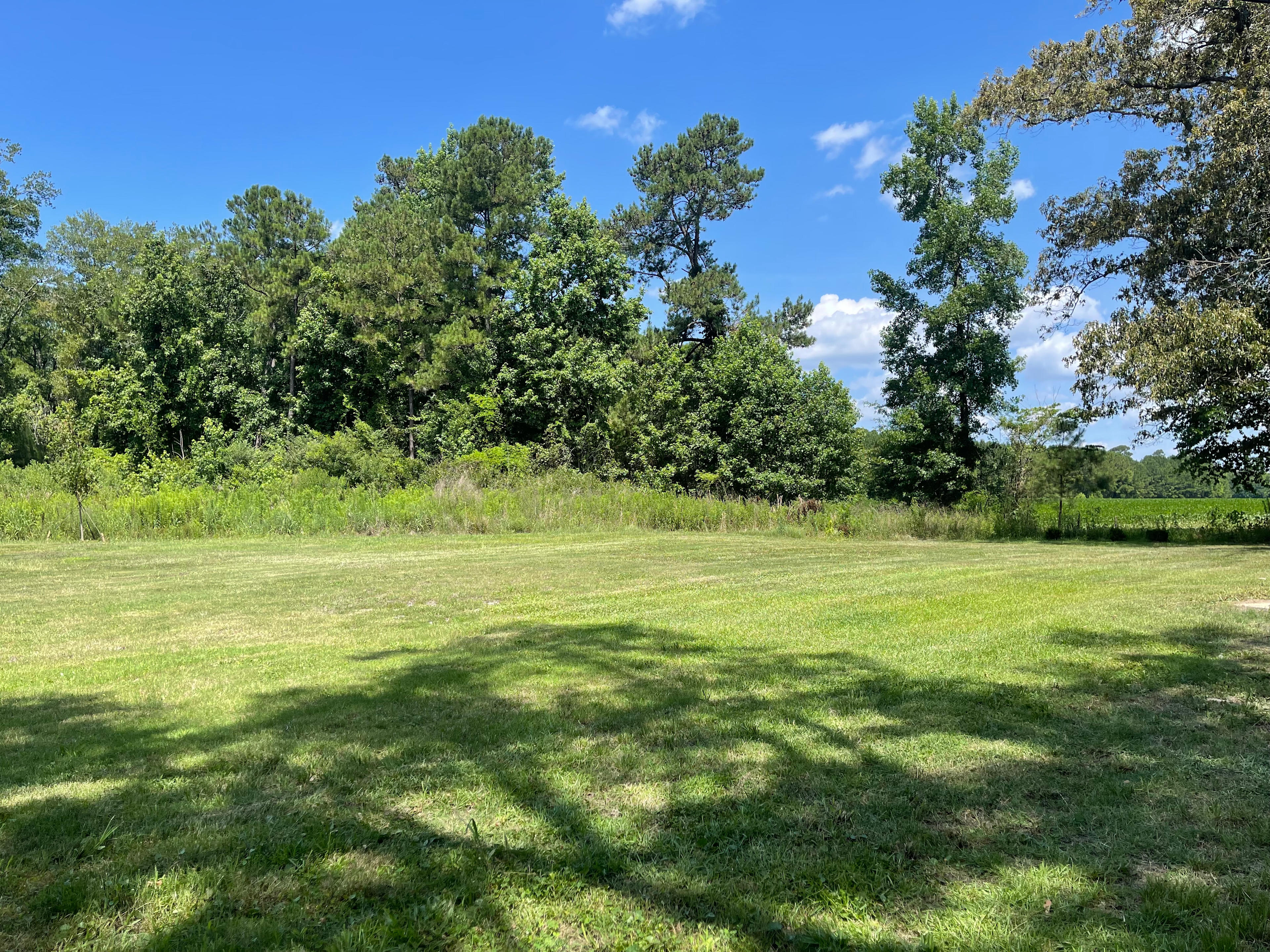 Red Bluff Country and Coastal Campsite