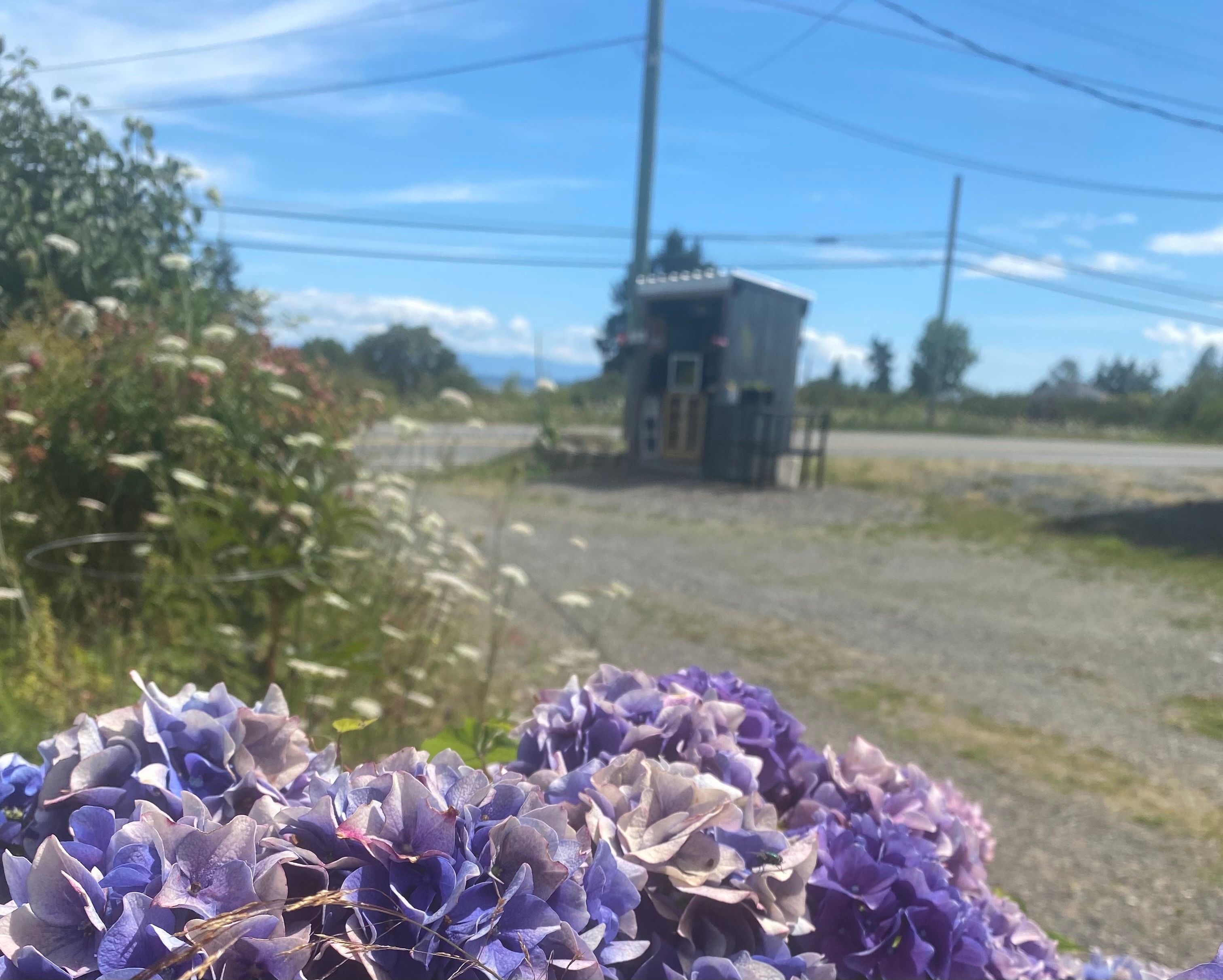 View of the farm stand and RV parking area