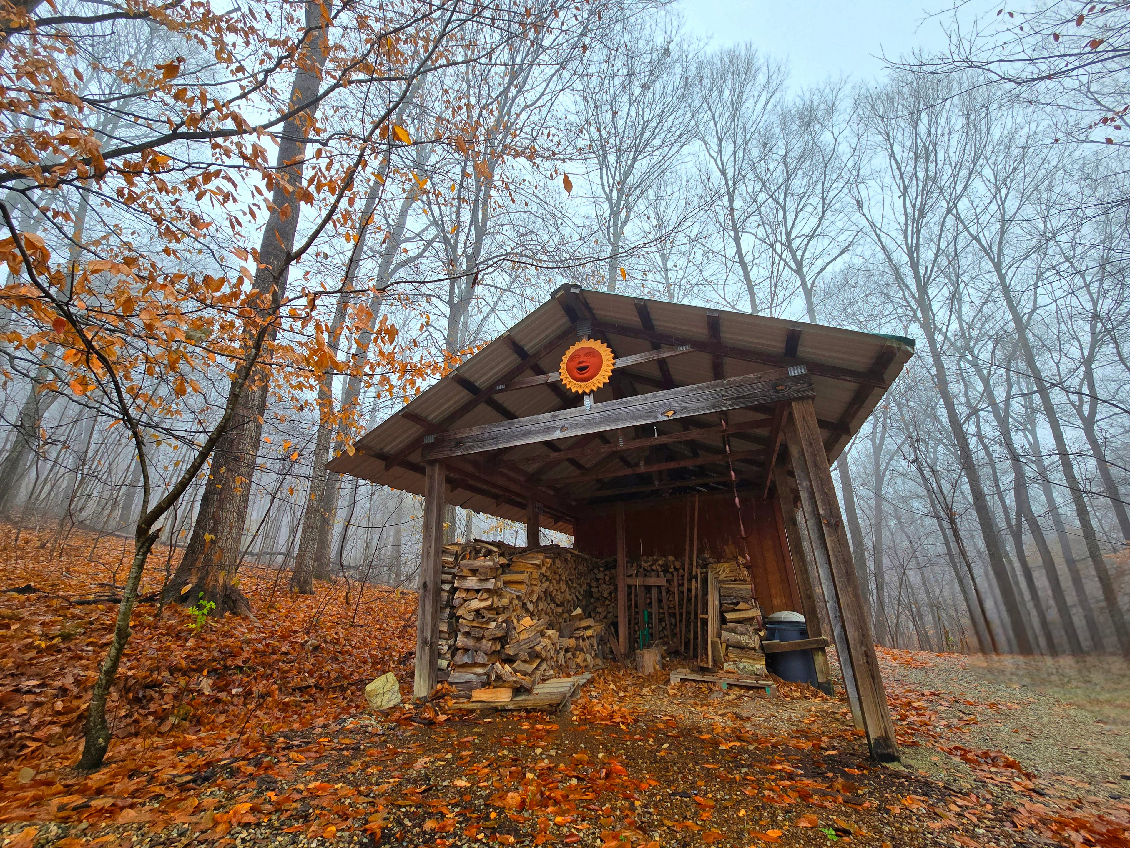 Wild Indigo🪻Forest Farm