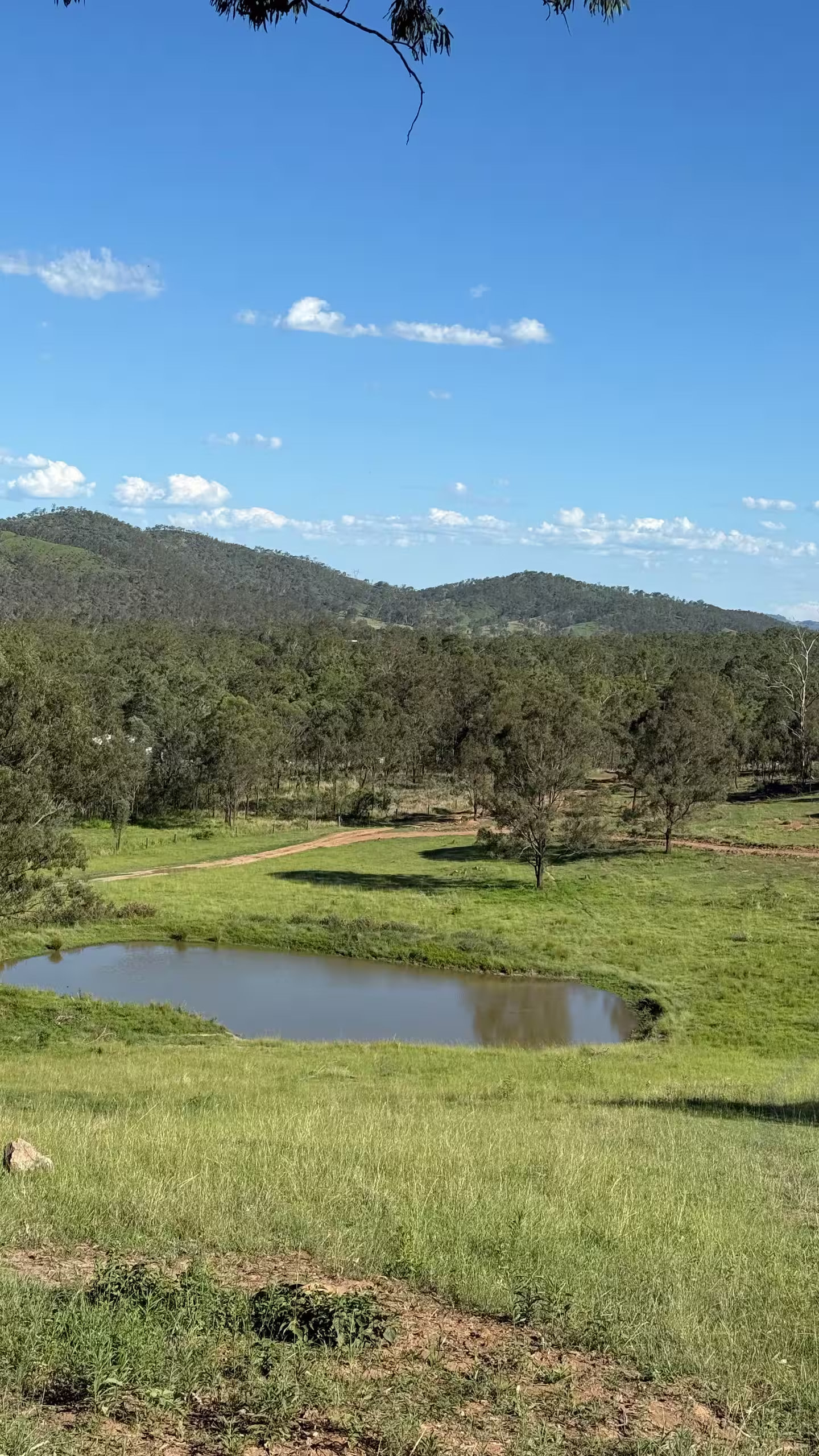 High Country