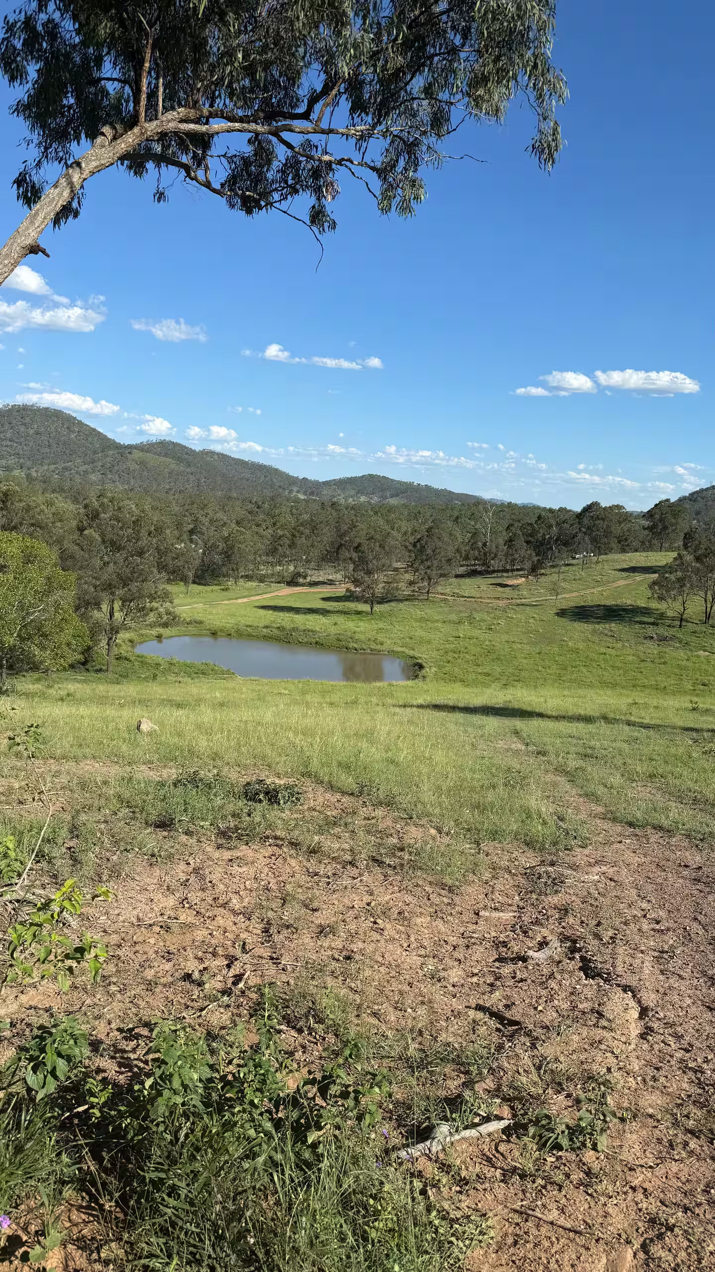 High Country