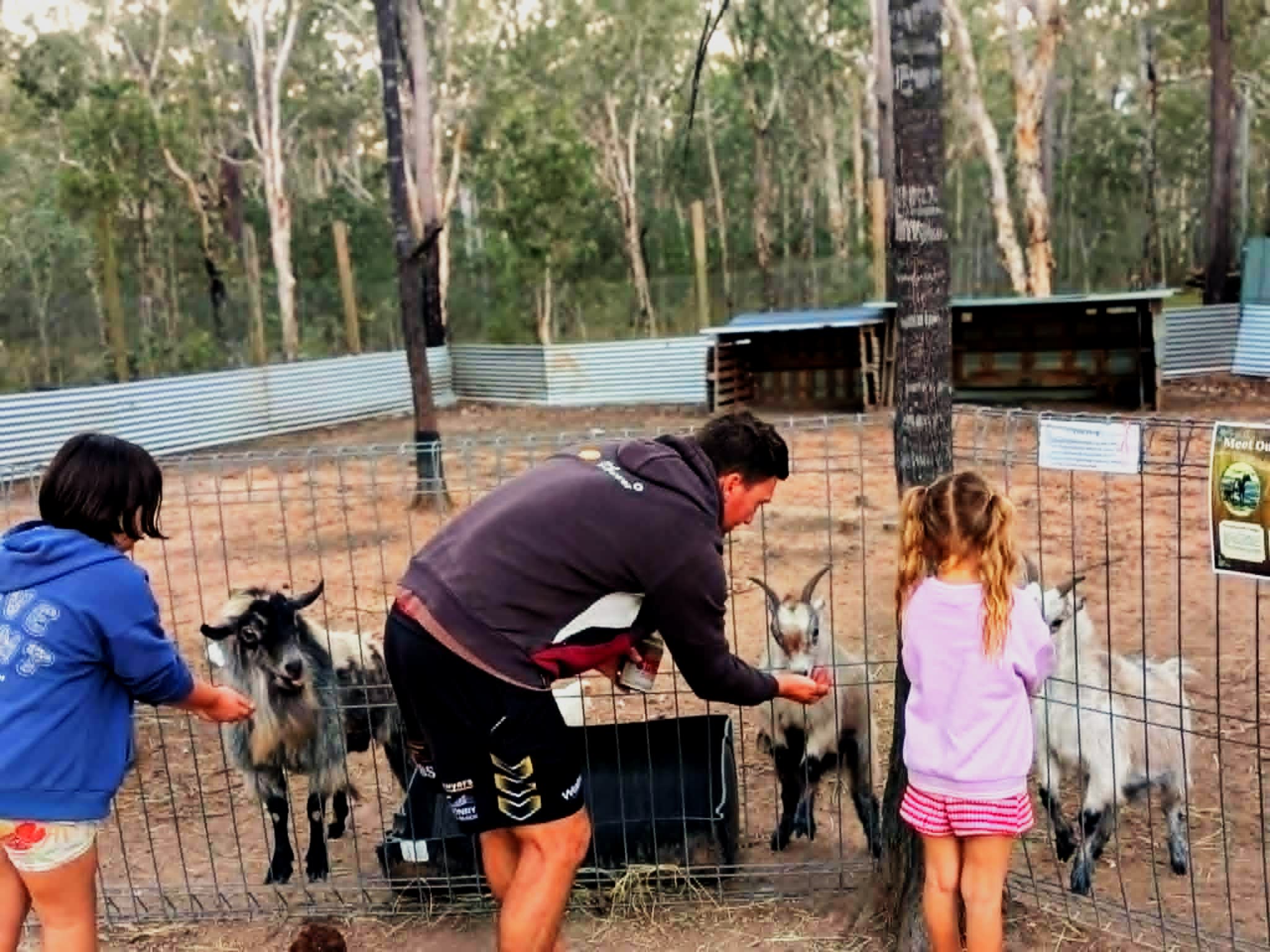 Woodlands Farmstay and Glamping
