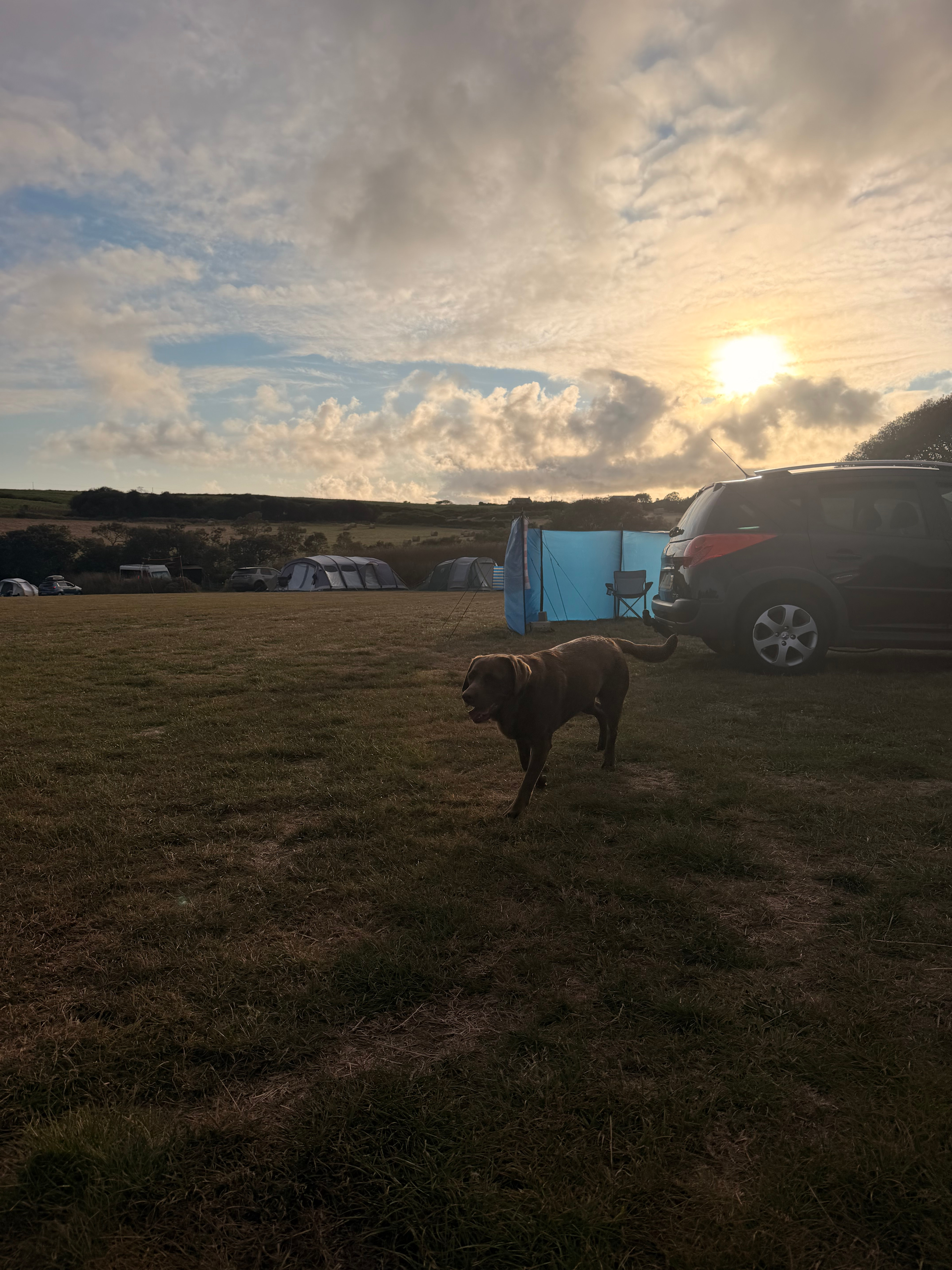 Tregella Place Camping