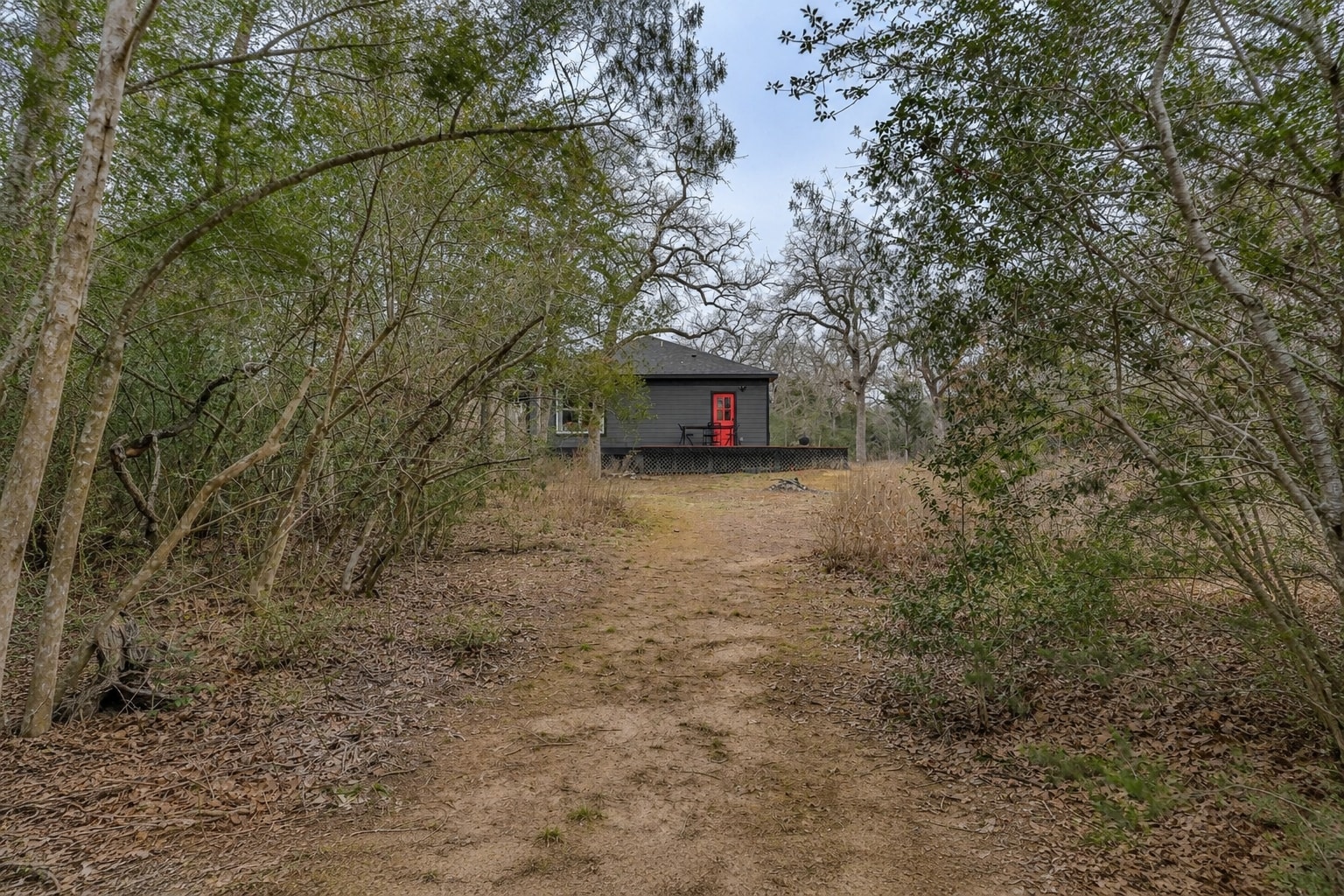 Cabin & Campsite in the woods