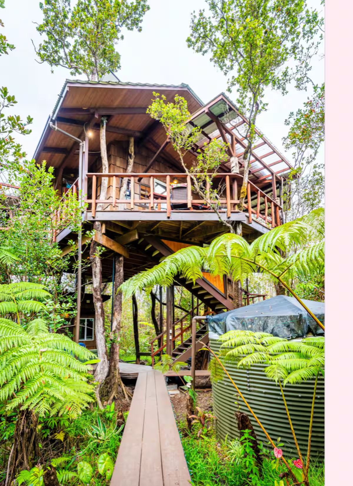 Secret Treehouse