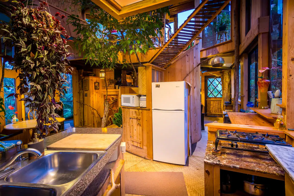 Best Treehouse Ever