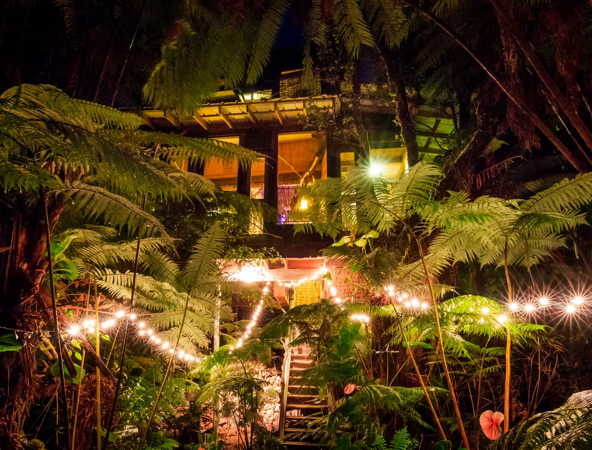 Best Treehouse Ever