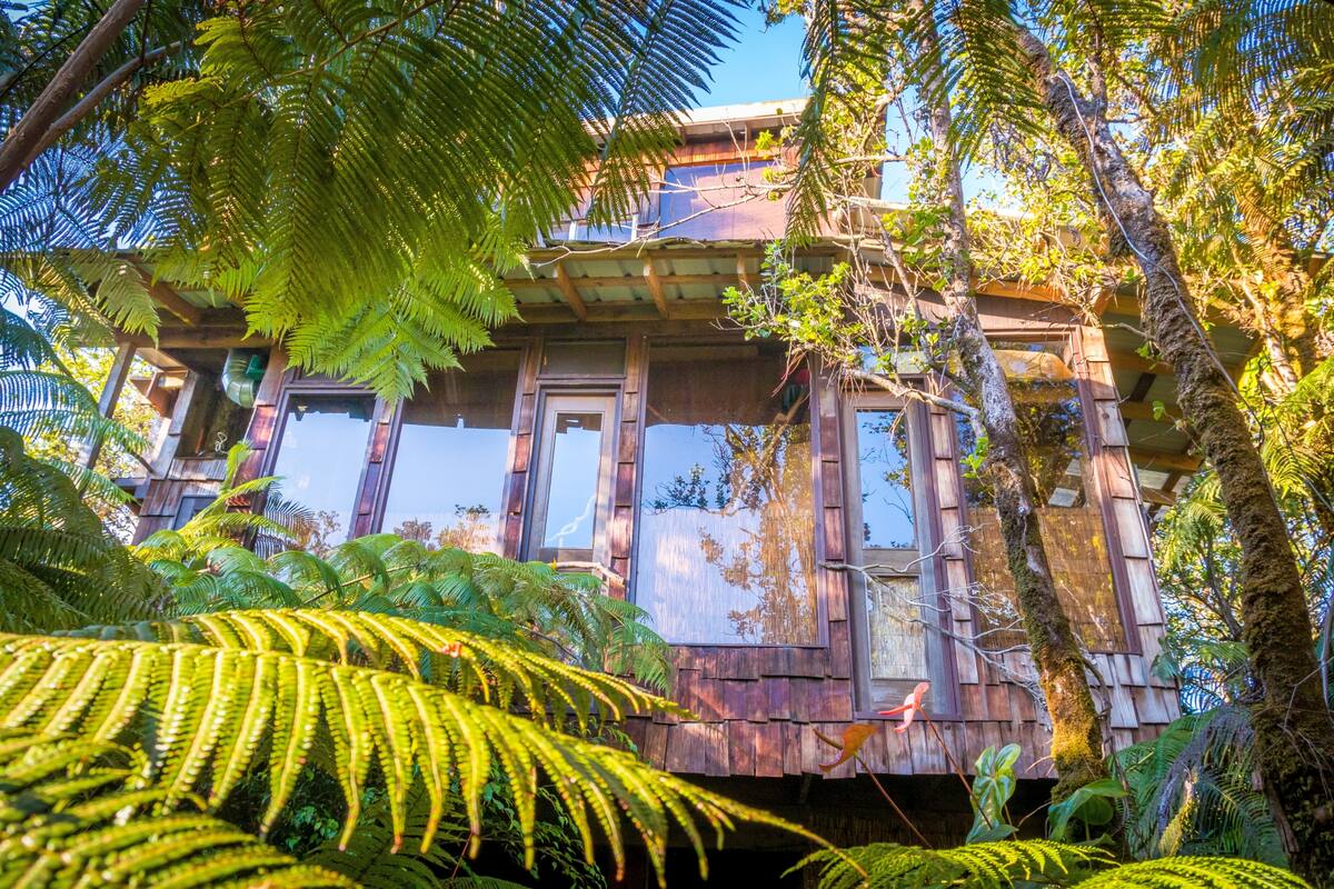 Best Treehouse Ever