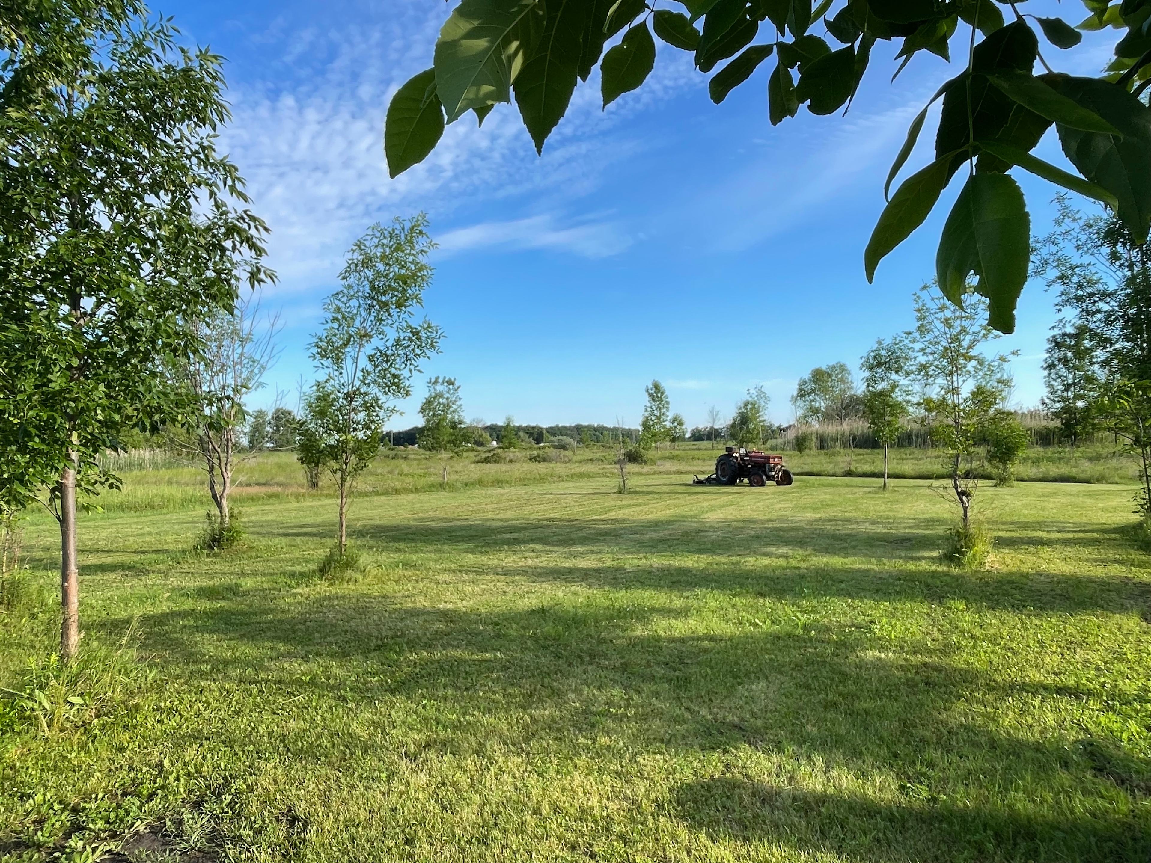 Shire Farm
